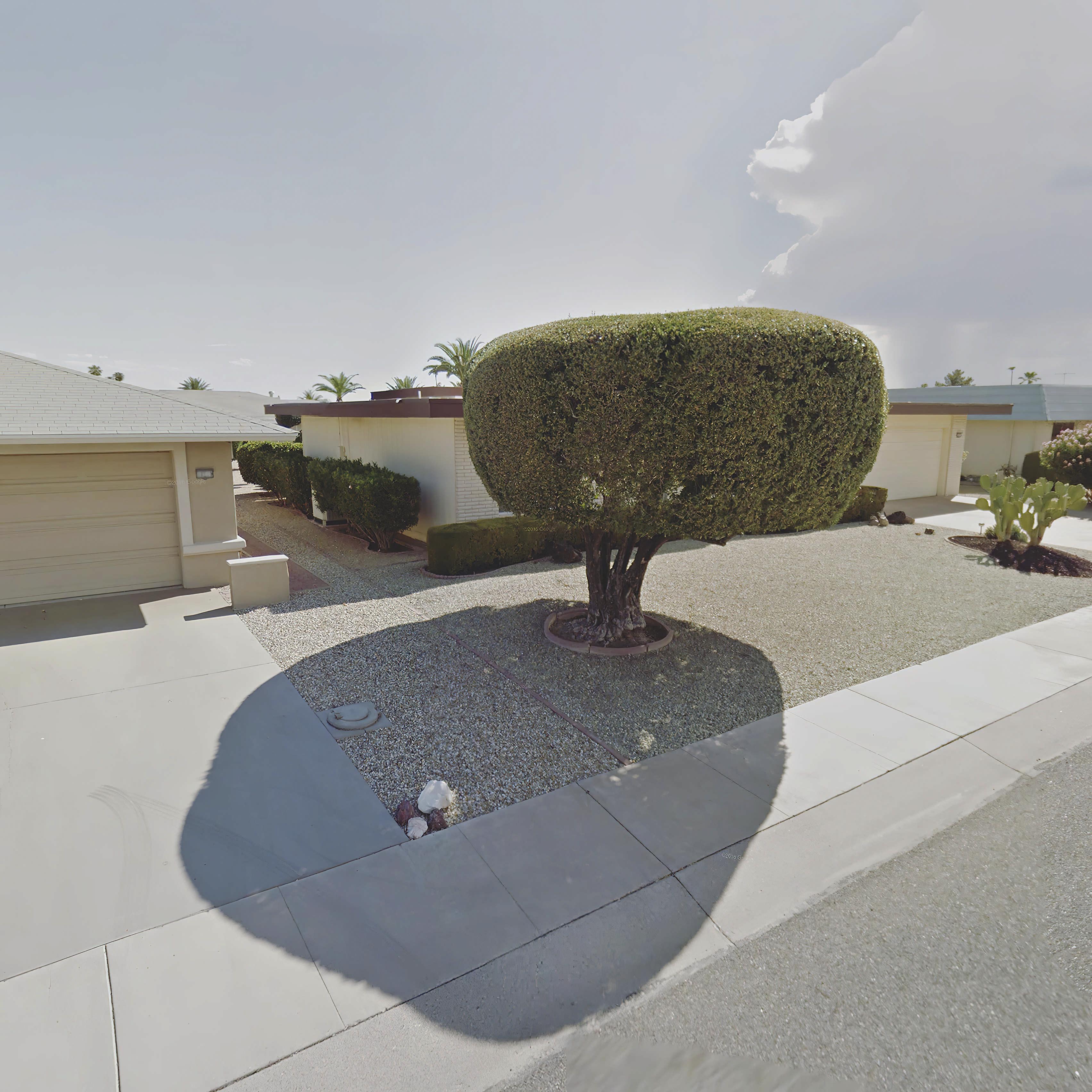A bulbous tree and a palm tree cast a shadow over a sidewalk pavement in front of a bungalow with palm trees in the background and a bright blue-grey sky   