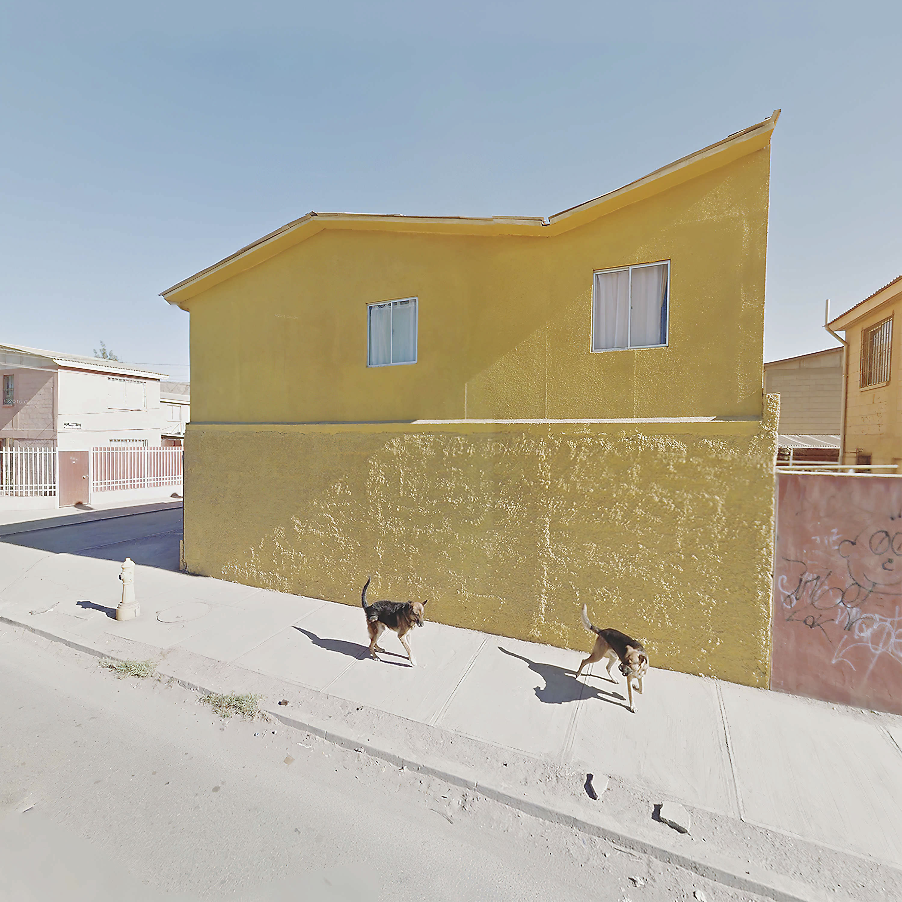 Two screen dogs walk down a hill on a pavement sidewalk in front of a bright yellow house with a strange jagged roof