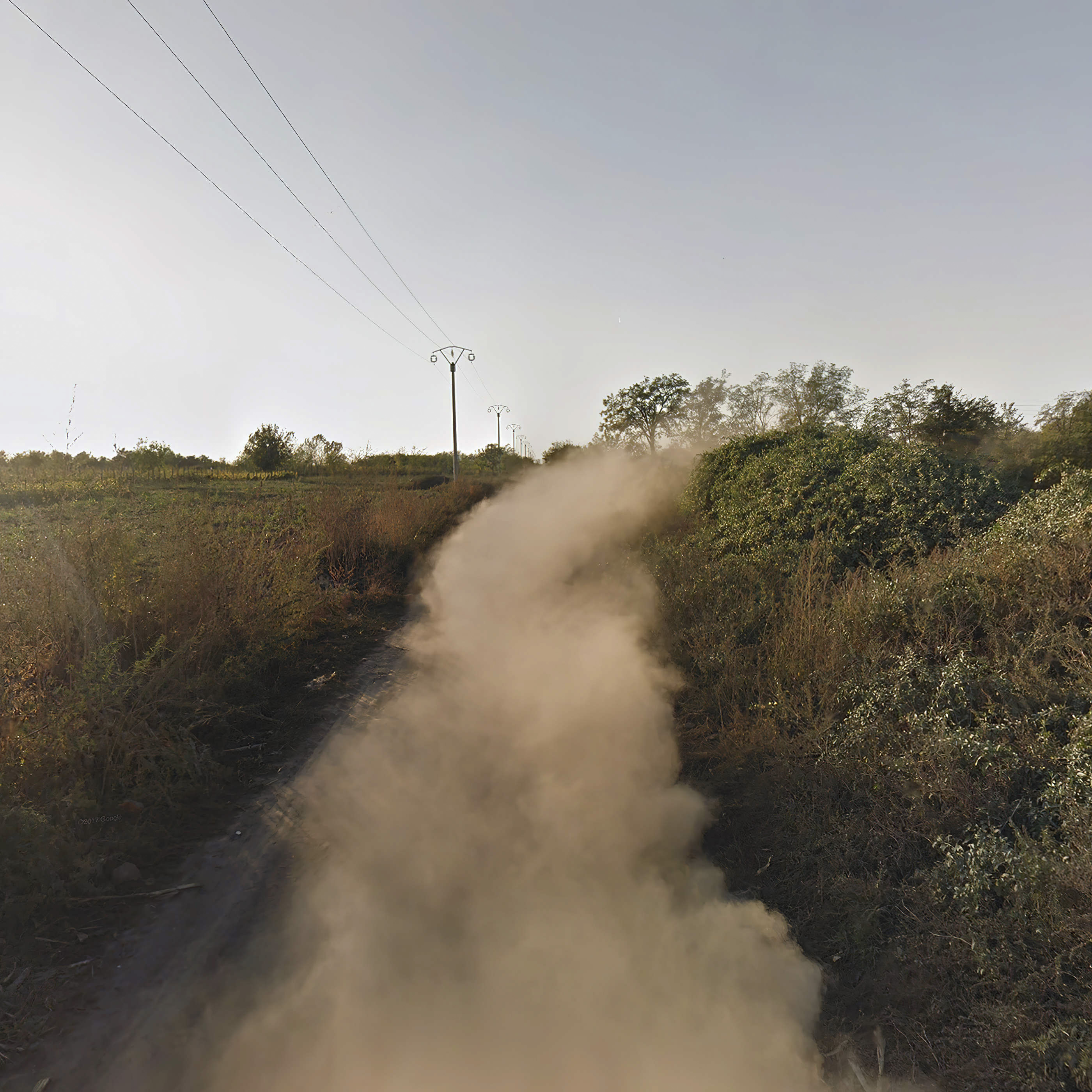 A trail of dust is left behind from an out-of-shot car on a dirt track through green undergrowth with power lines and a blue sky in the background