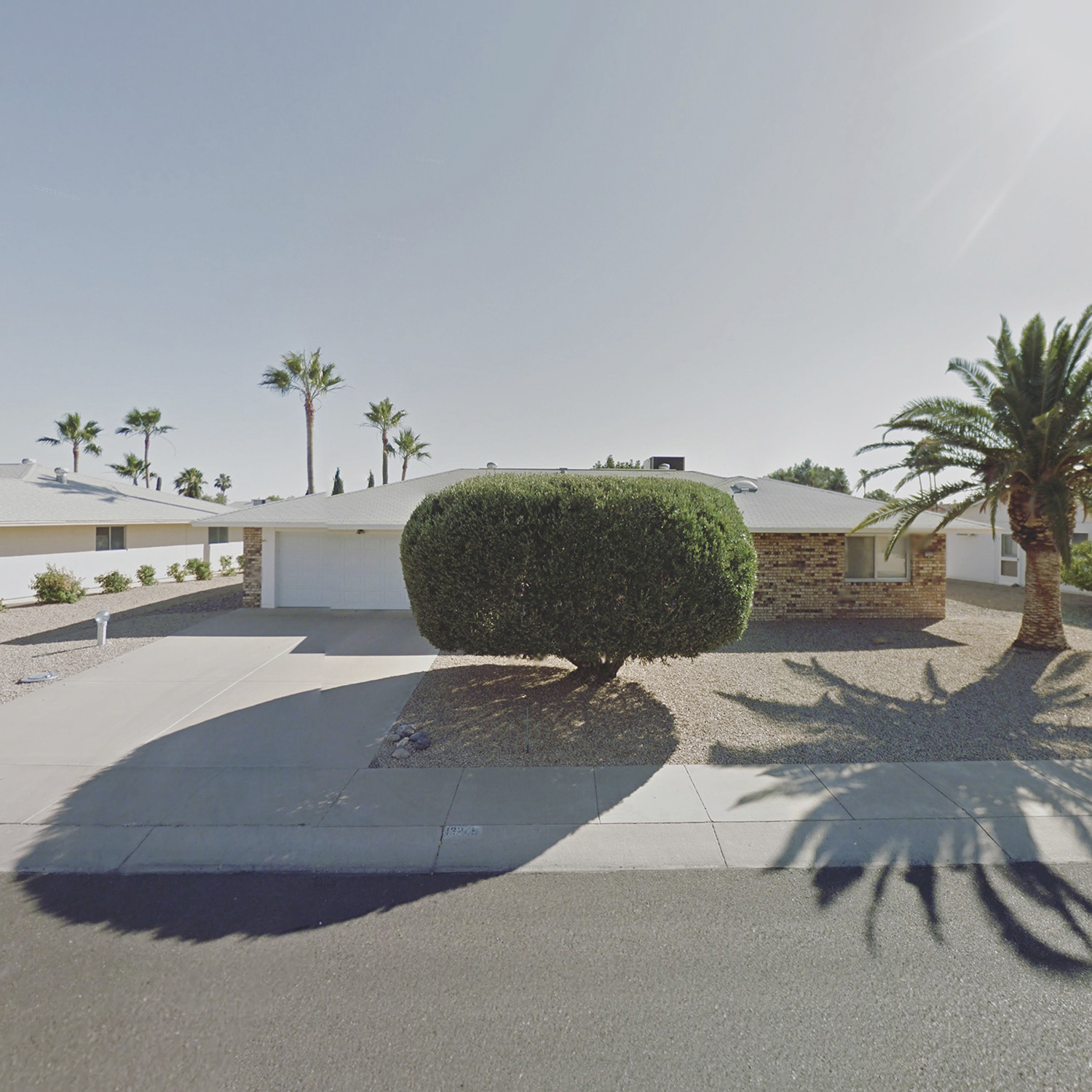A bulbous tree casts a large shadow over a pavement sidewalk on a road lined with bungalows