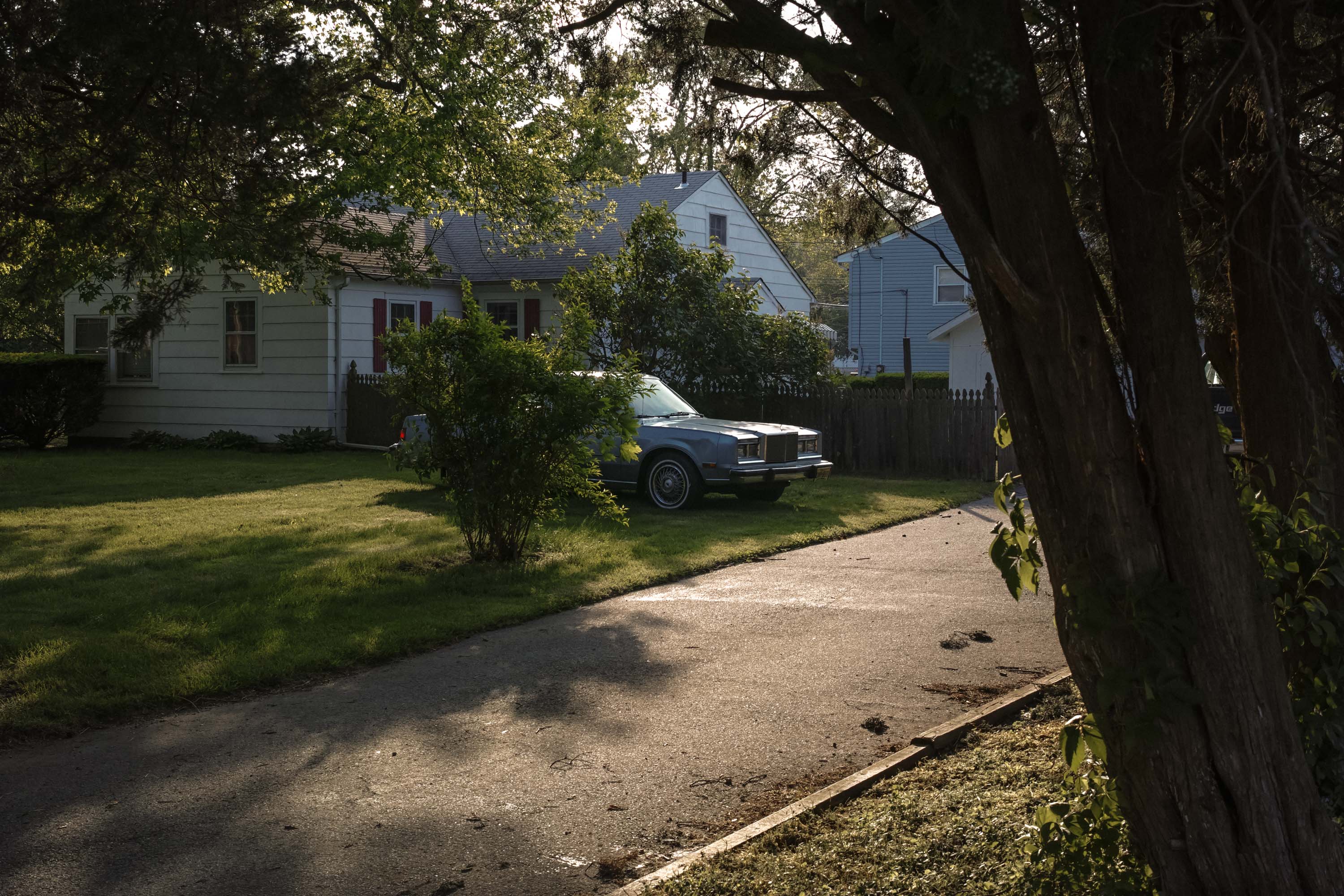 A path runs past a tree with a car partially obscured by a bush in a driveway surrounded by suburban houses