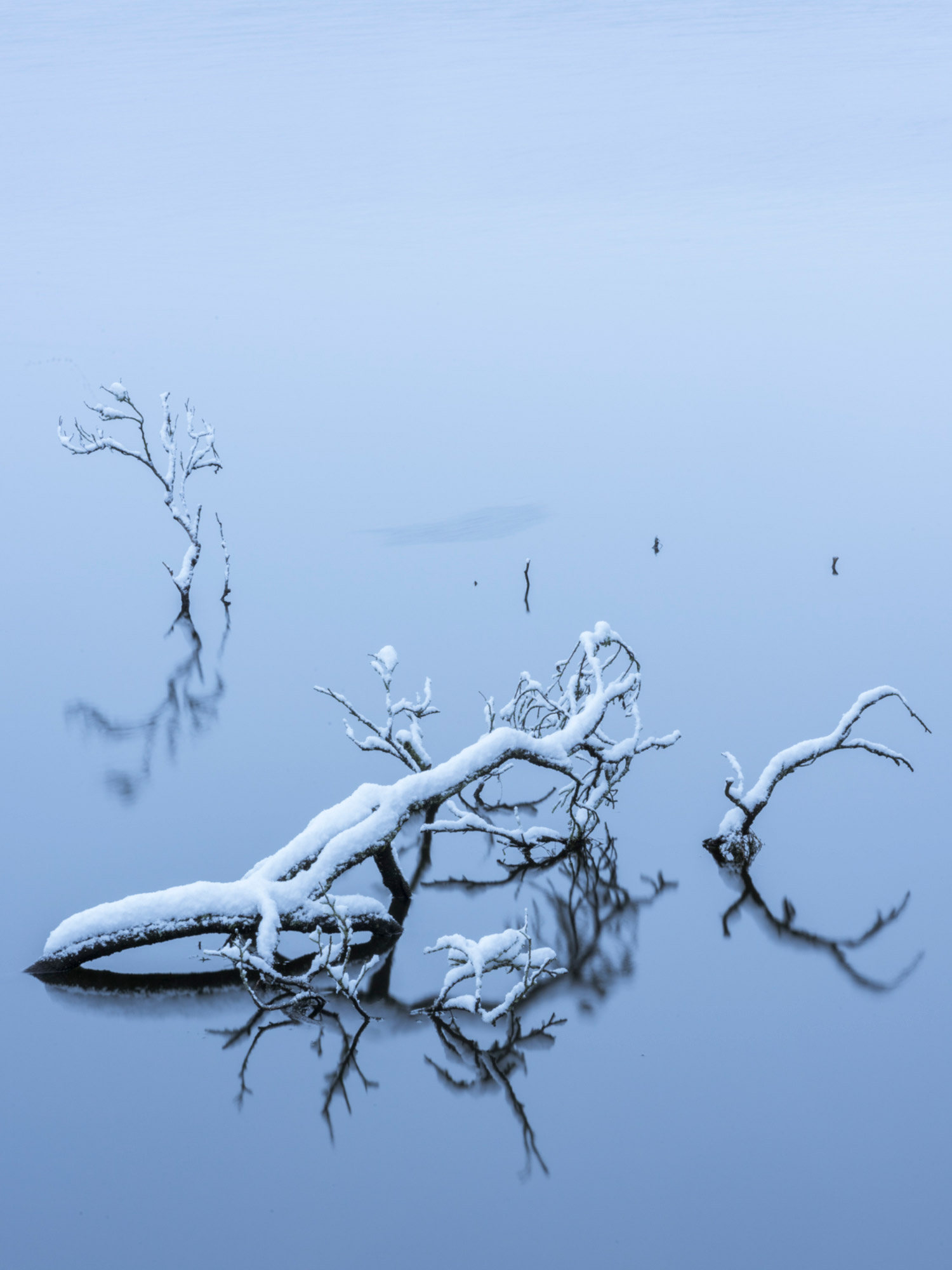 Snow covered branches stick out from the water at the Douglas Estate, South Lanarkshire, Scotland.