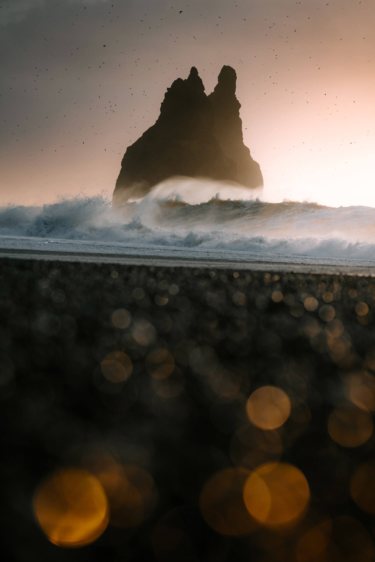Birds flying around a rock in the sea, with waves crashing around it. Pebbles on the beach sit in the foreground, reflecting the sunrise.