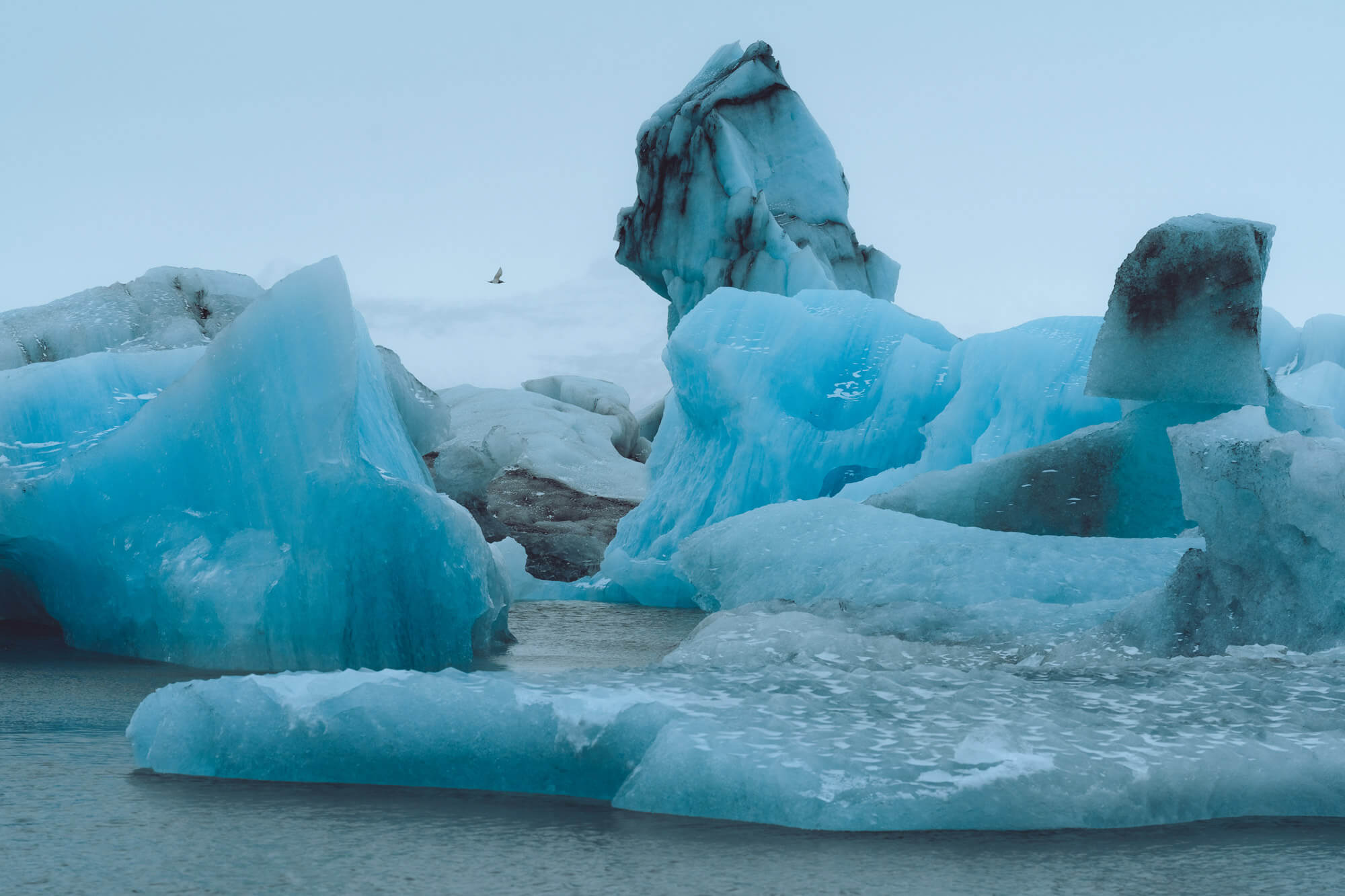 An image of glacier field in Iceland