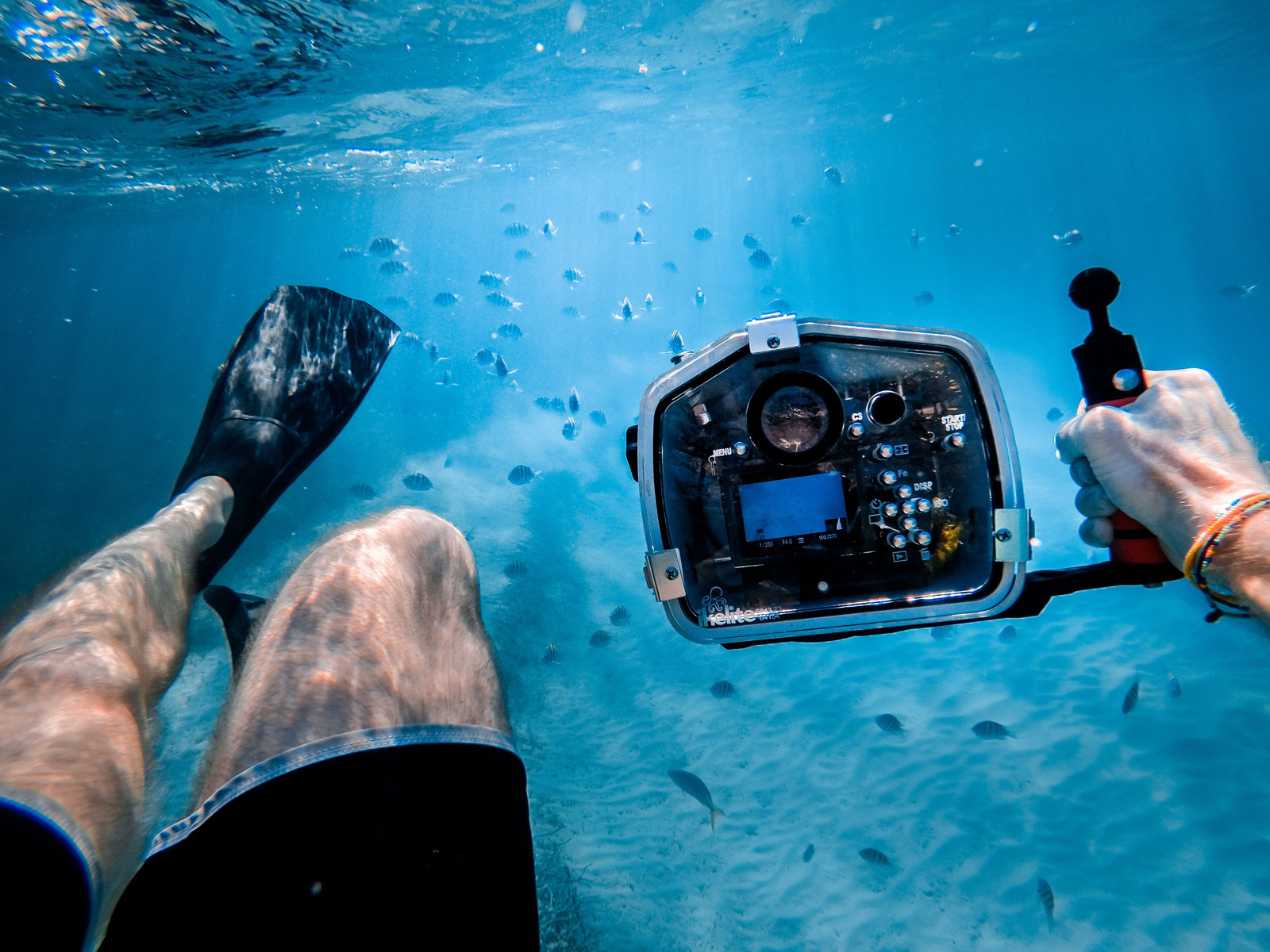 Photo of a snorkler holding a camera in an underwater housing unit. 