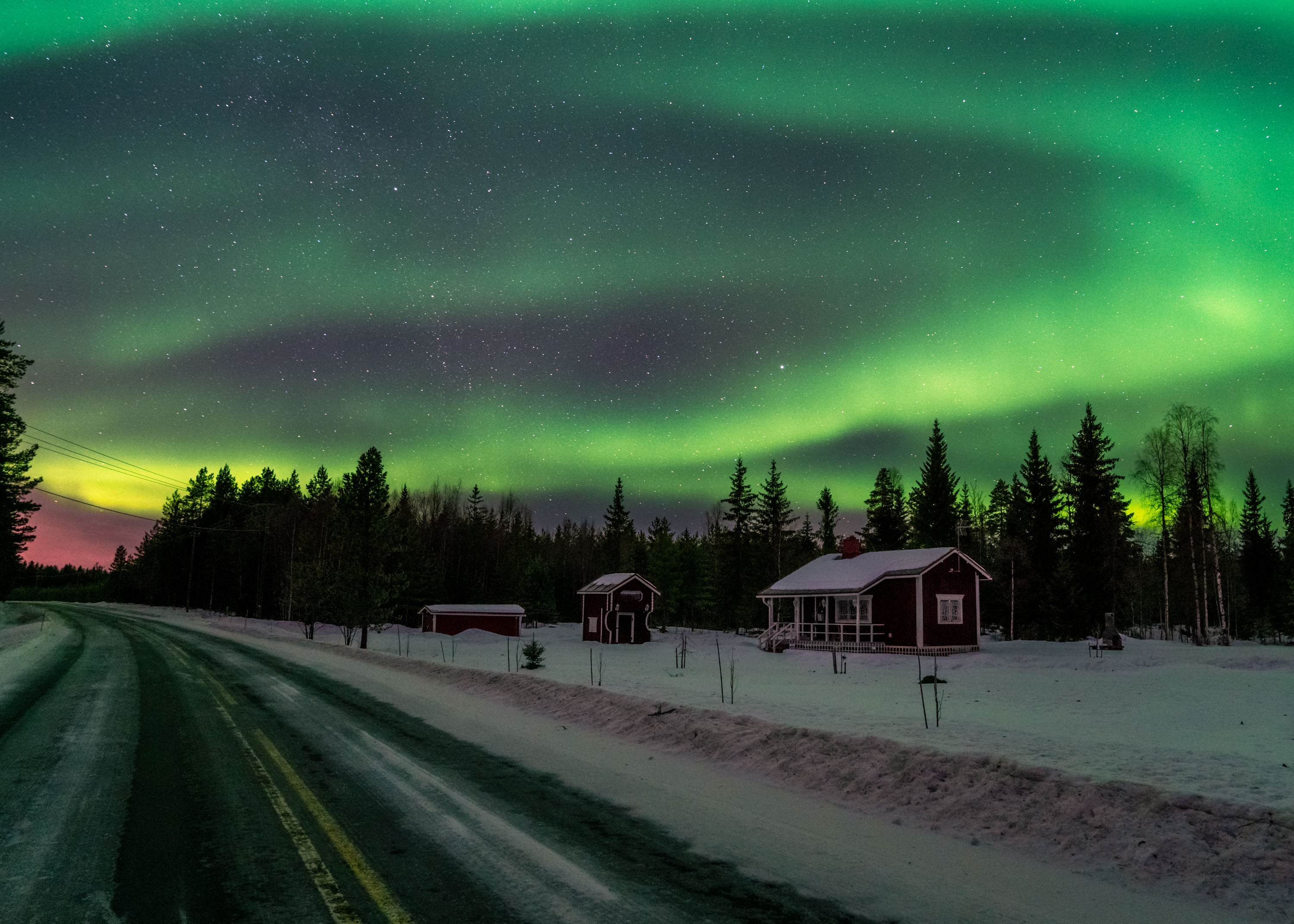 Northern lights landscape with a house and trees with snow in the foreground