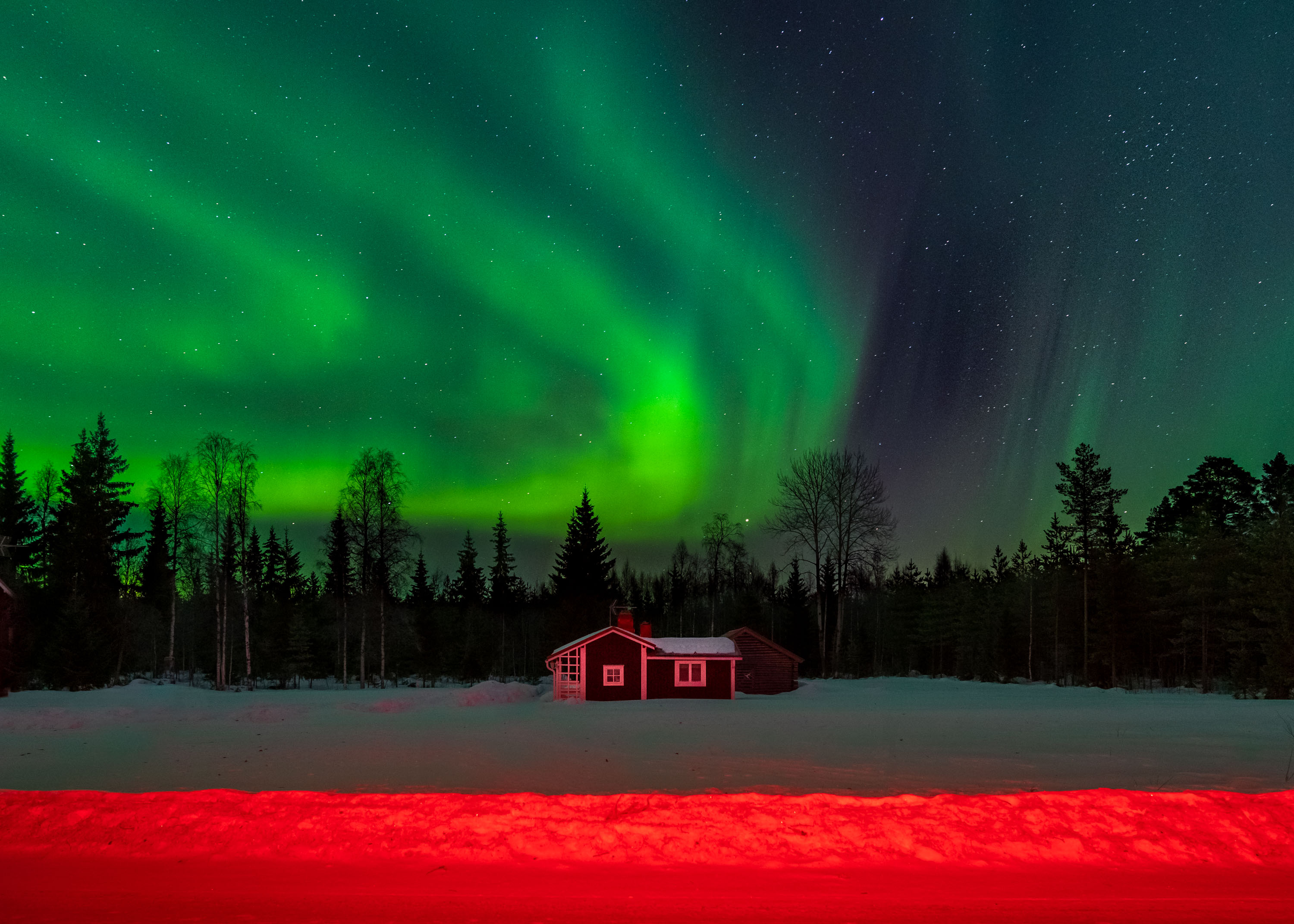 Northern lights landscape with a house and trees with snow in the foreground