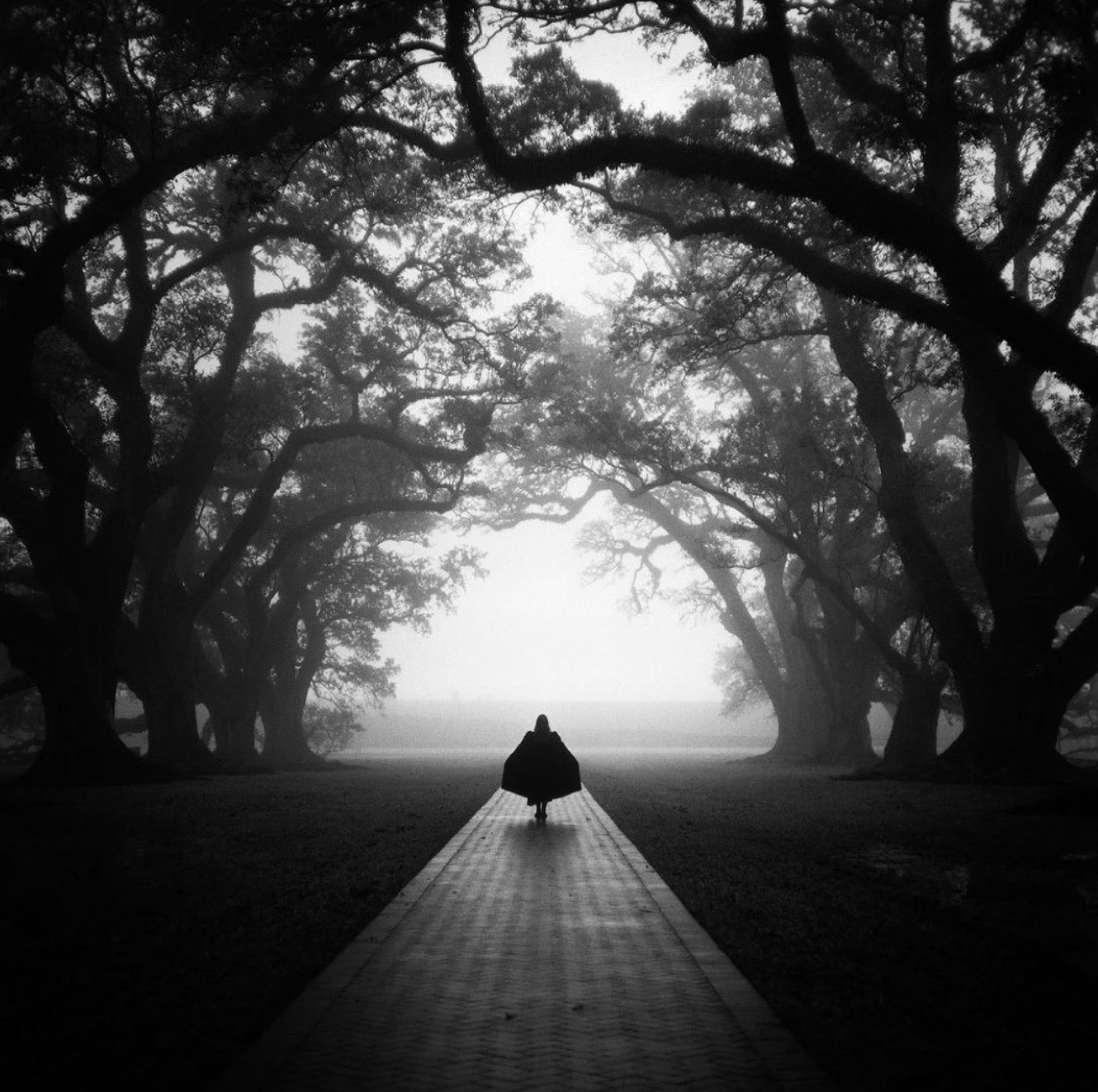 A silhouette of a caped person walking through trees.