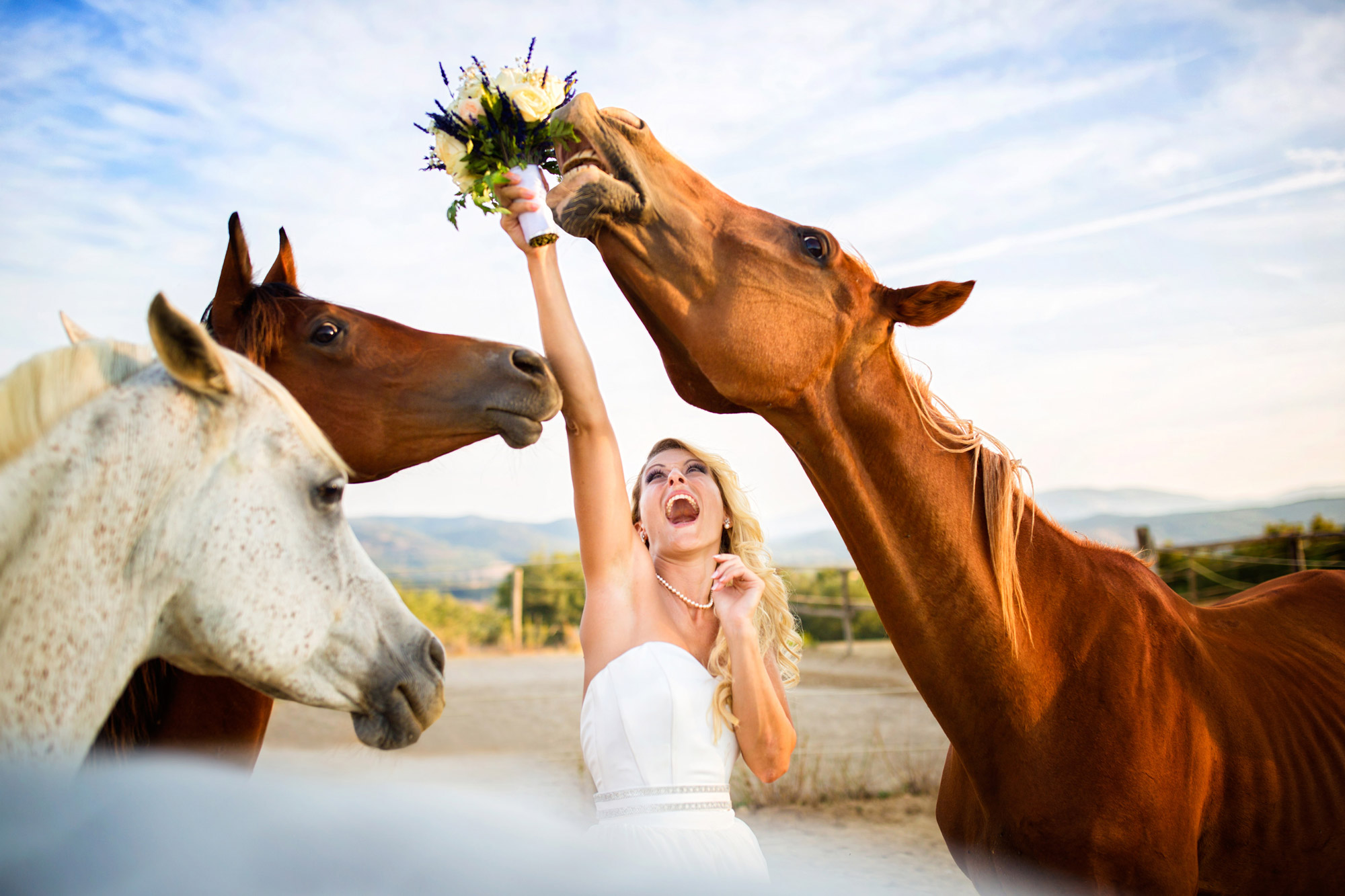 Веселая удачная свадьба. Свадебная фотосессия с лошадьми. Свадебная фотосессия с лошадьми летом. Фотосессия с животными. Необычные Свадебные фотосессии с животными.