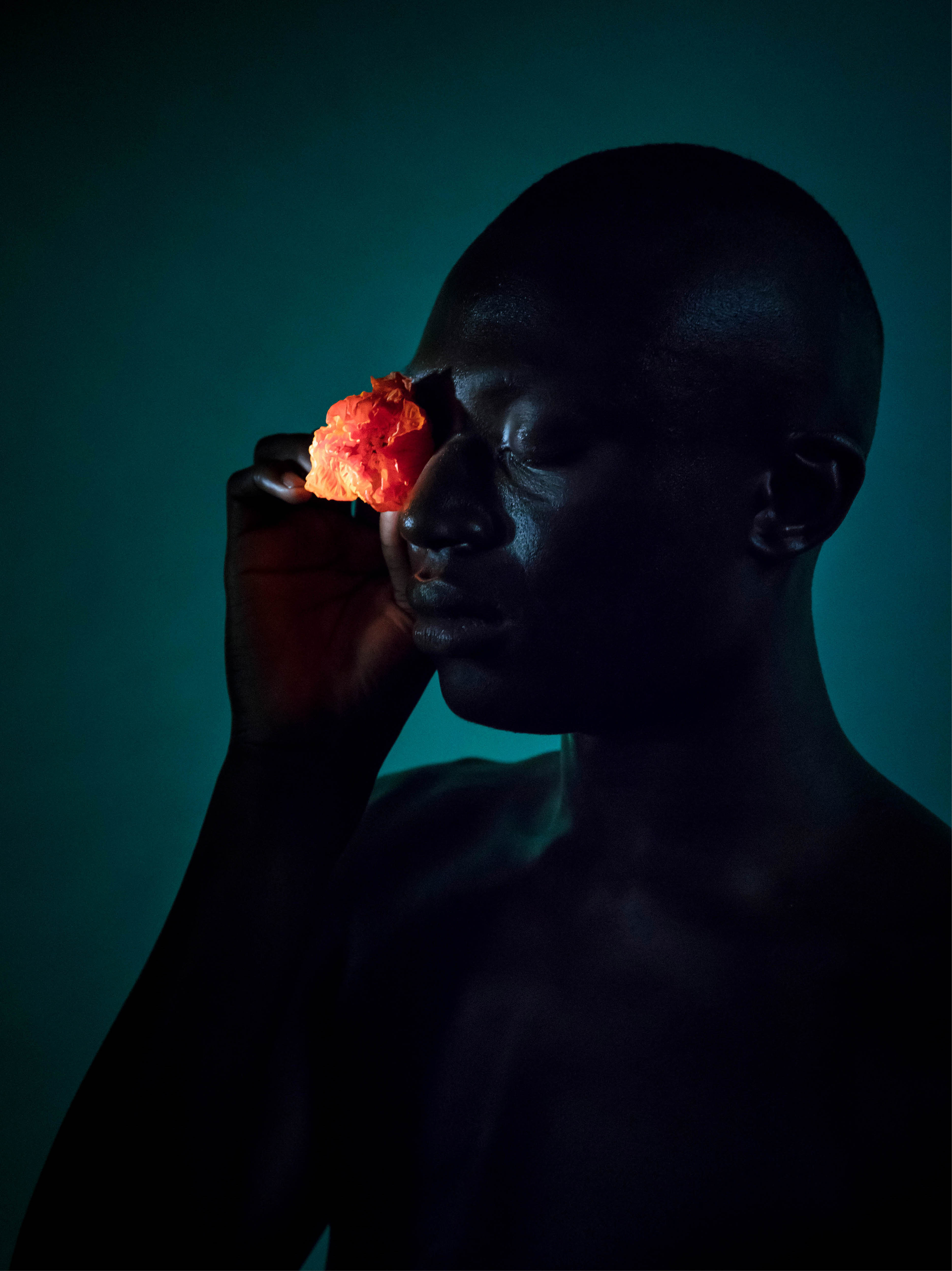 A portrait of a man in front of a blue background with the man holding an orange flower to his eye