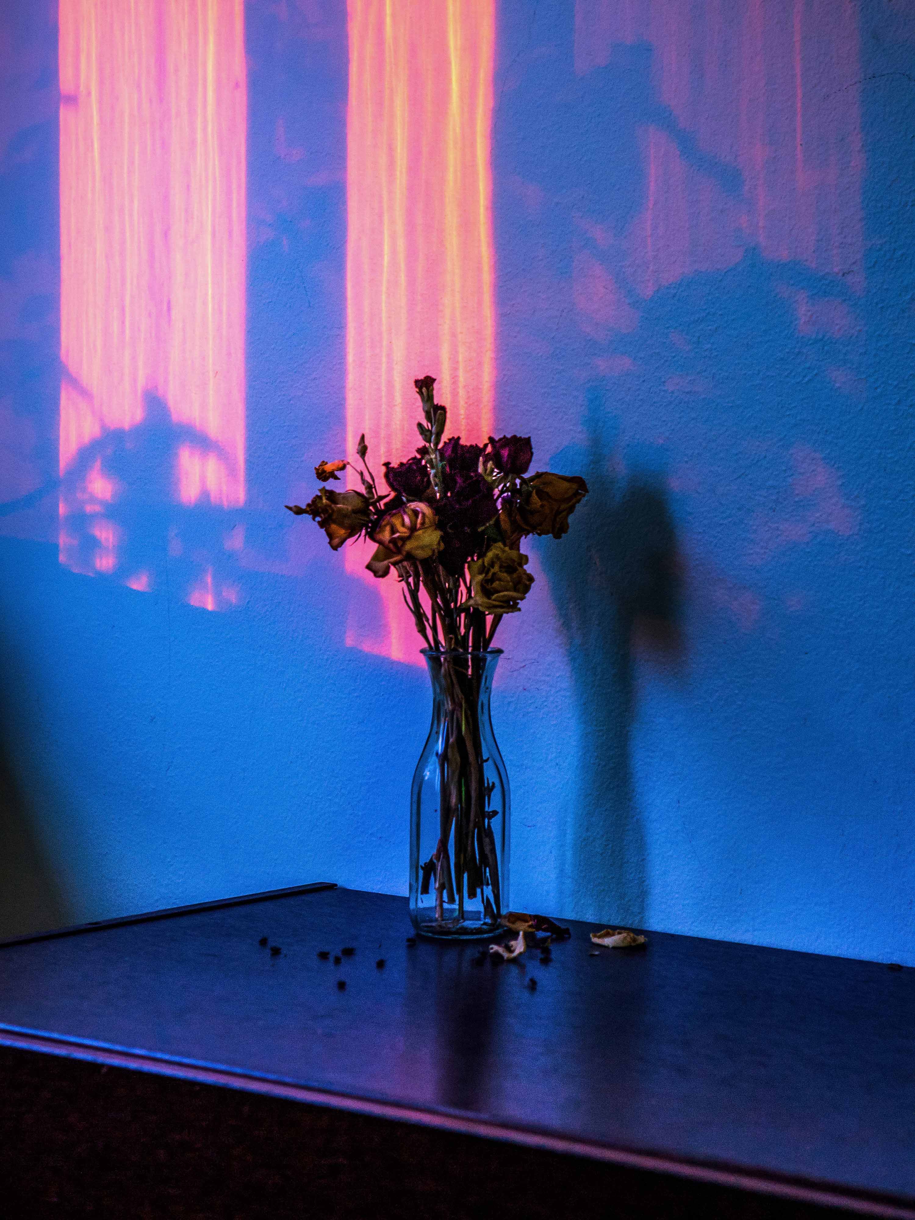  a vase with dying flowers in front of a wall with light reflecting off the wall