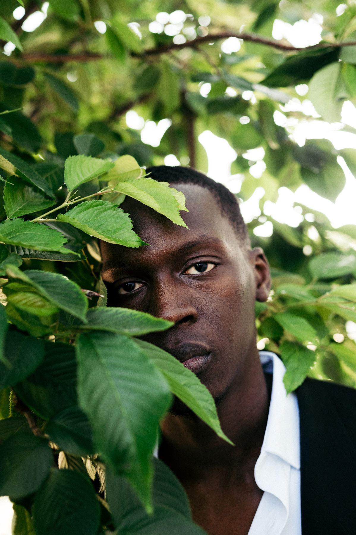 A Black man standing behind a leafy tree looking straight at the camera