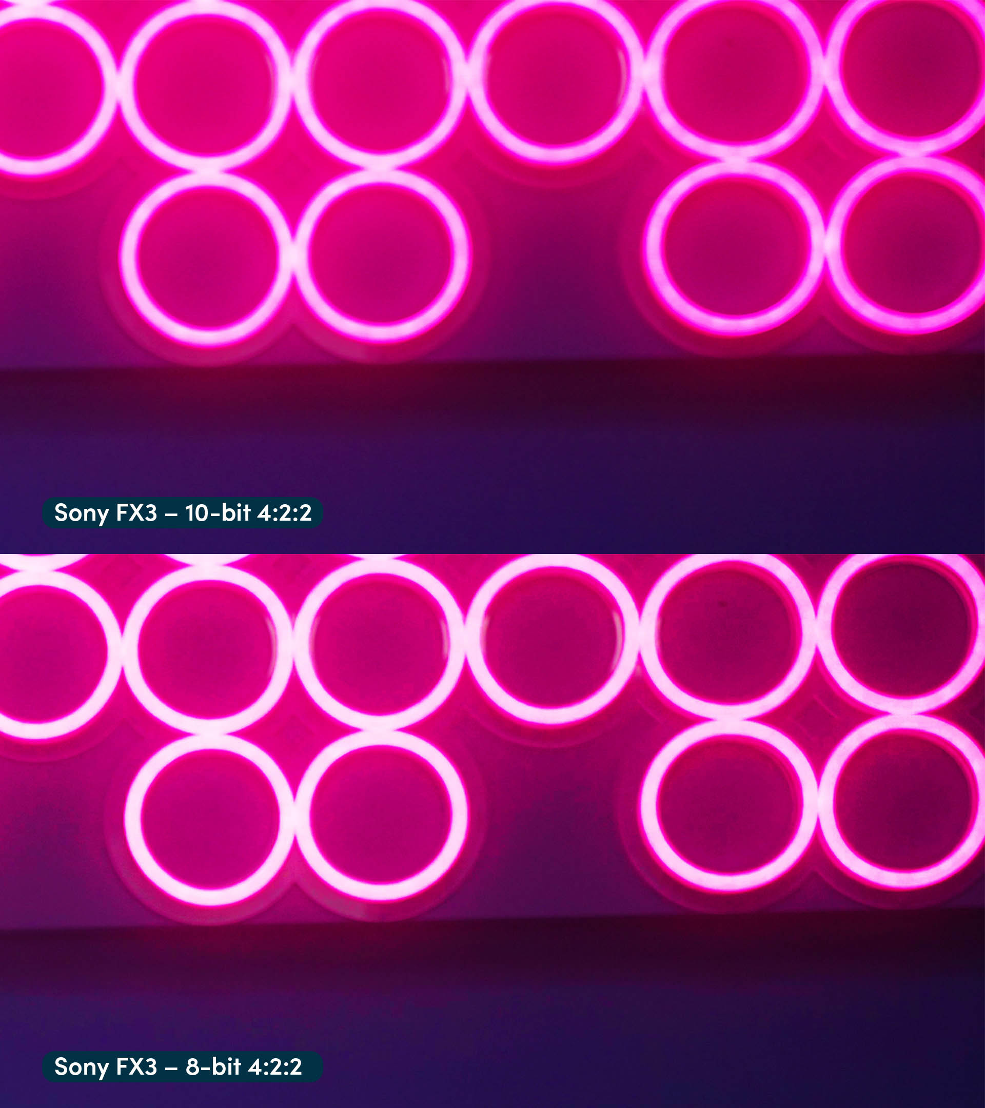 Zij-aan-zij vergelijking die compressieartefacten laat zien rond het neonlicht op de 8-bit beelden.