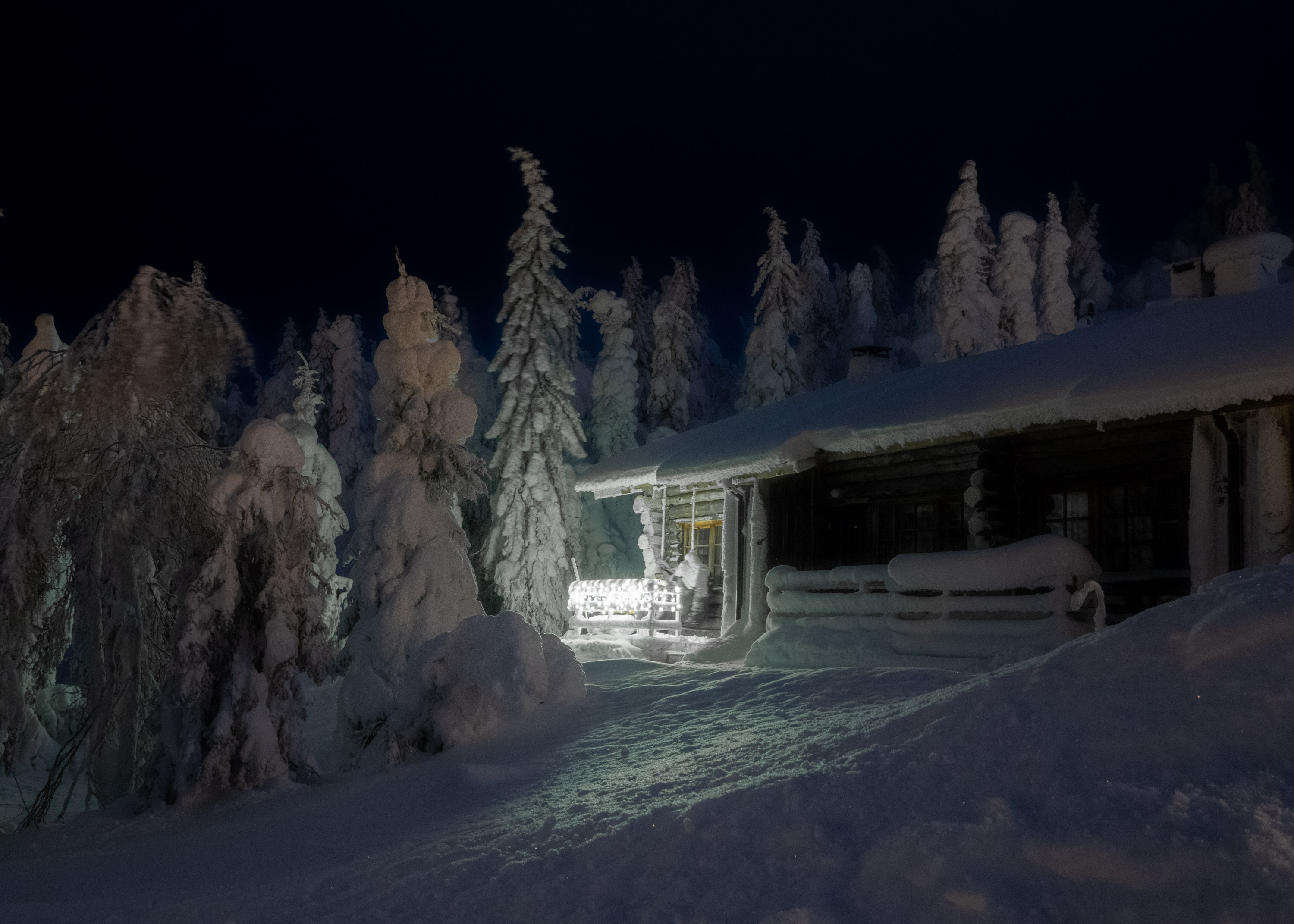 A house and trees covered in snow at night with a light shining in the window. 