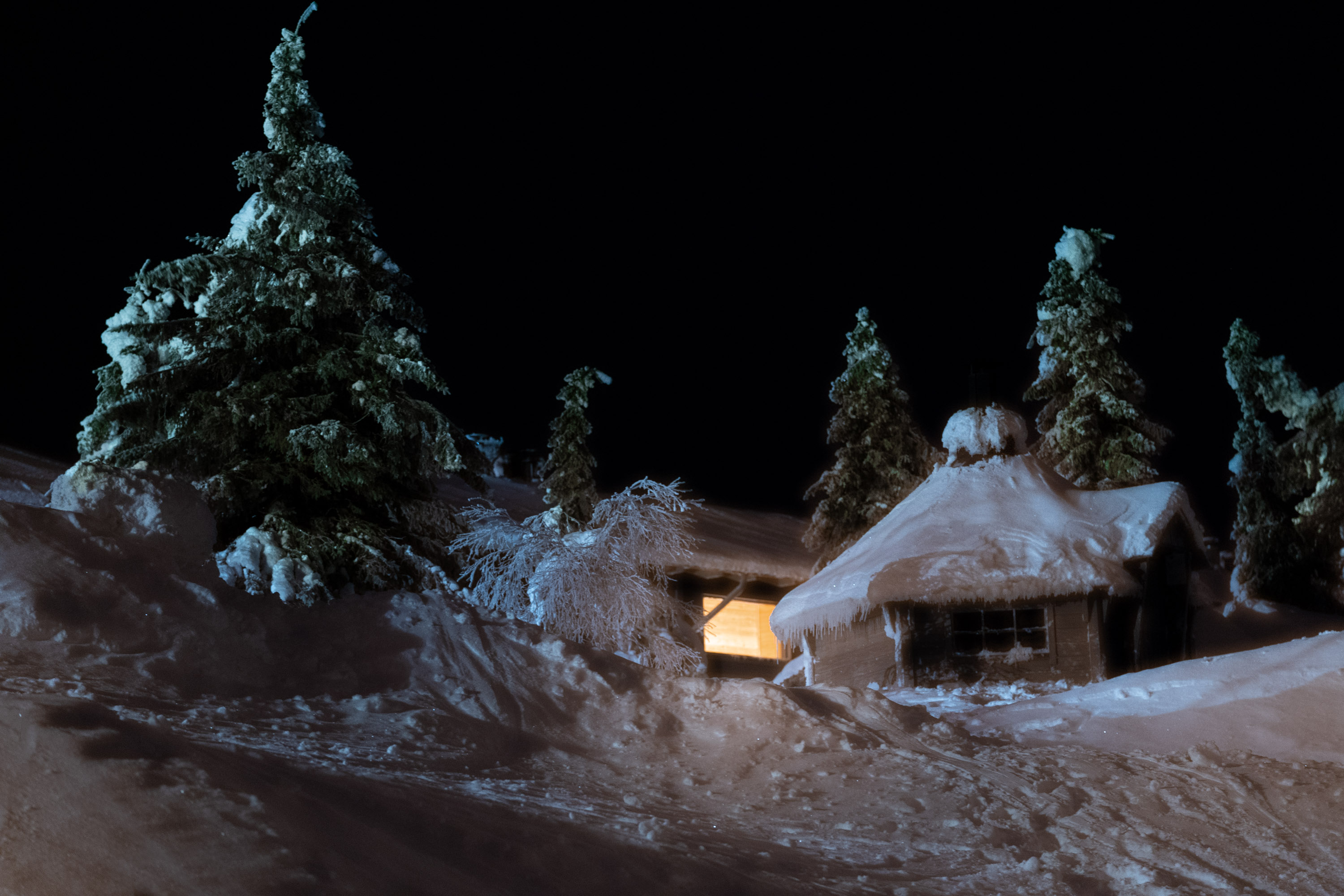 A house and trees covered in snow at night with a light shining in the window. 
