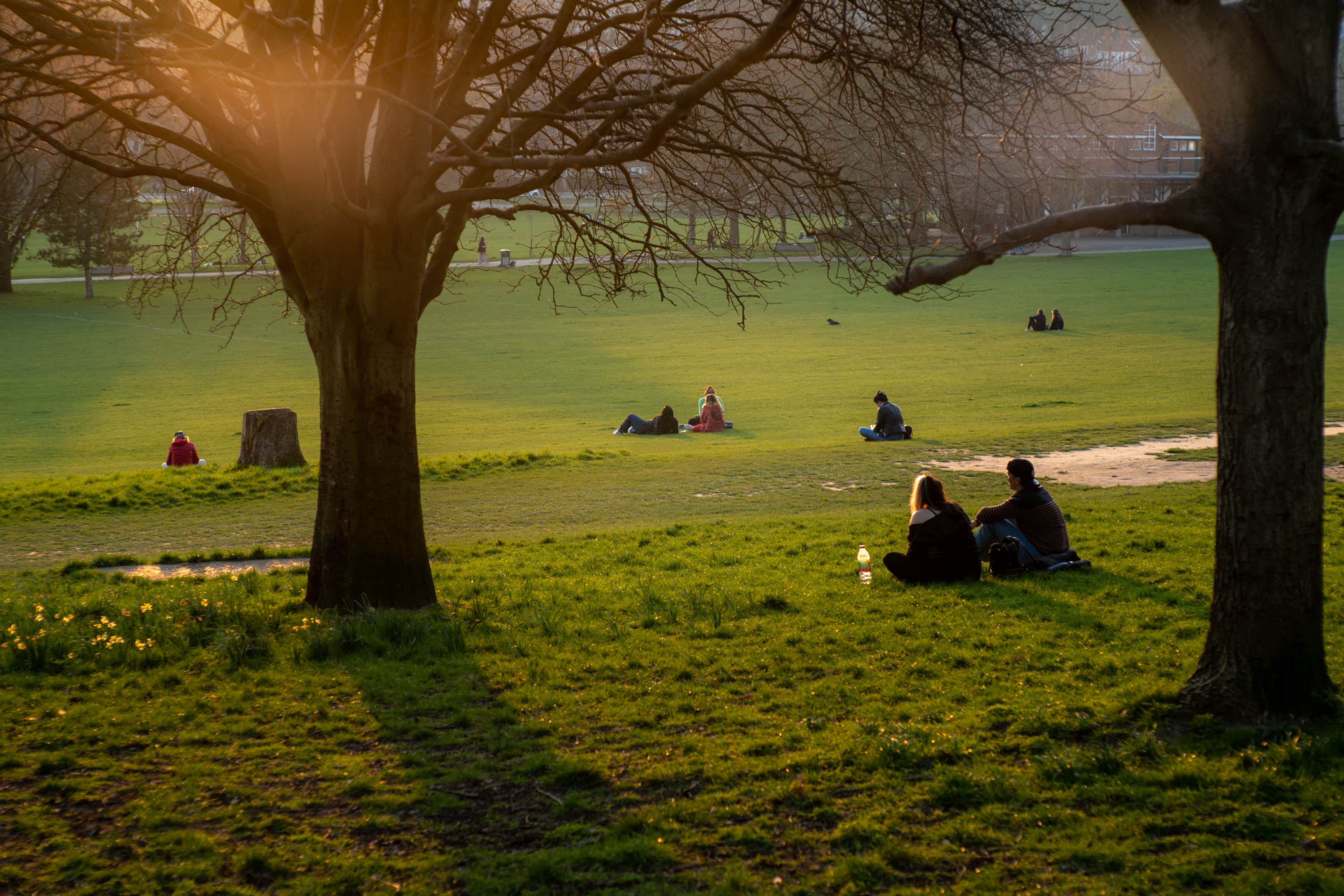Une photo de personnes dans un parc regardant le soleil se coucher avec du flare
