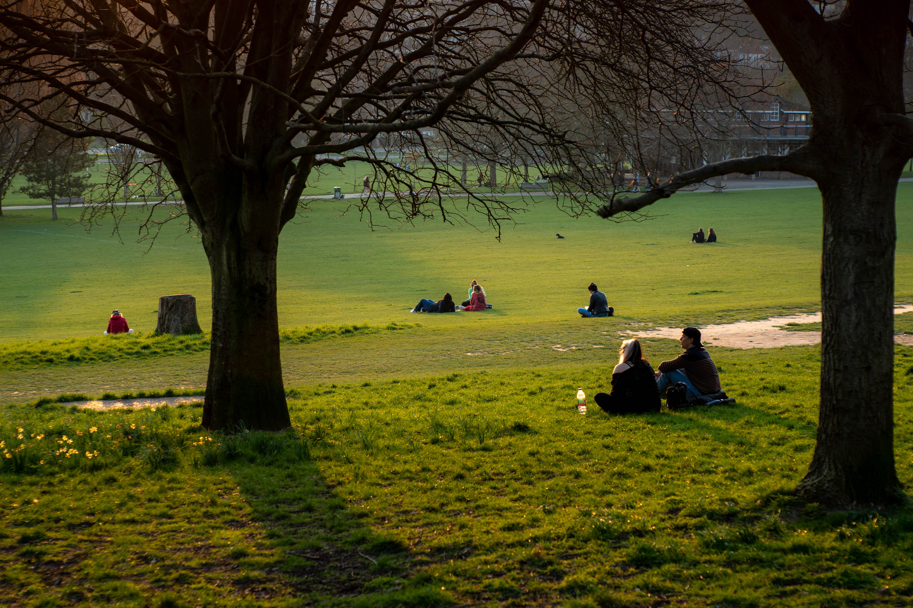Bild ohne Streulicht von Menschen in einem Park, die den Sonnenuntergang betrachten 
