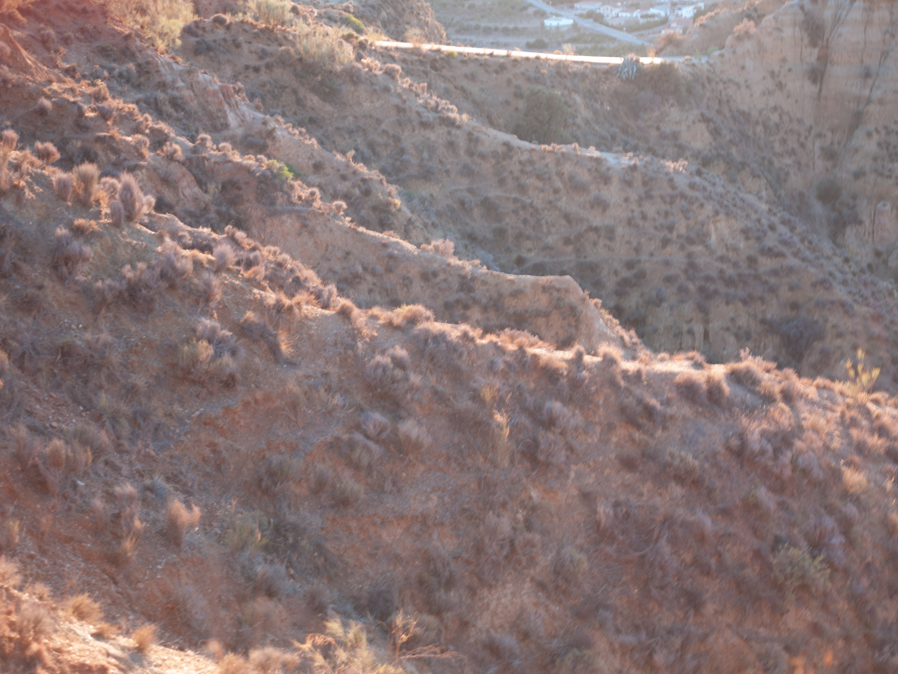 Une photo montrant les effets du flare