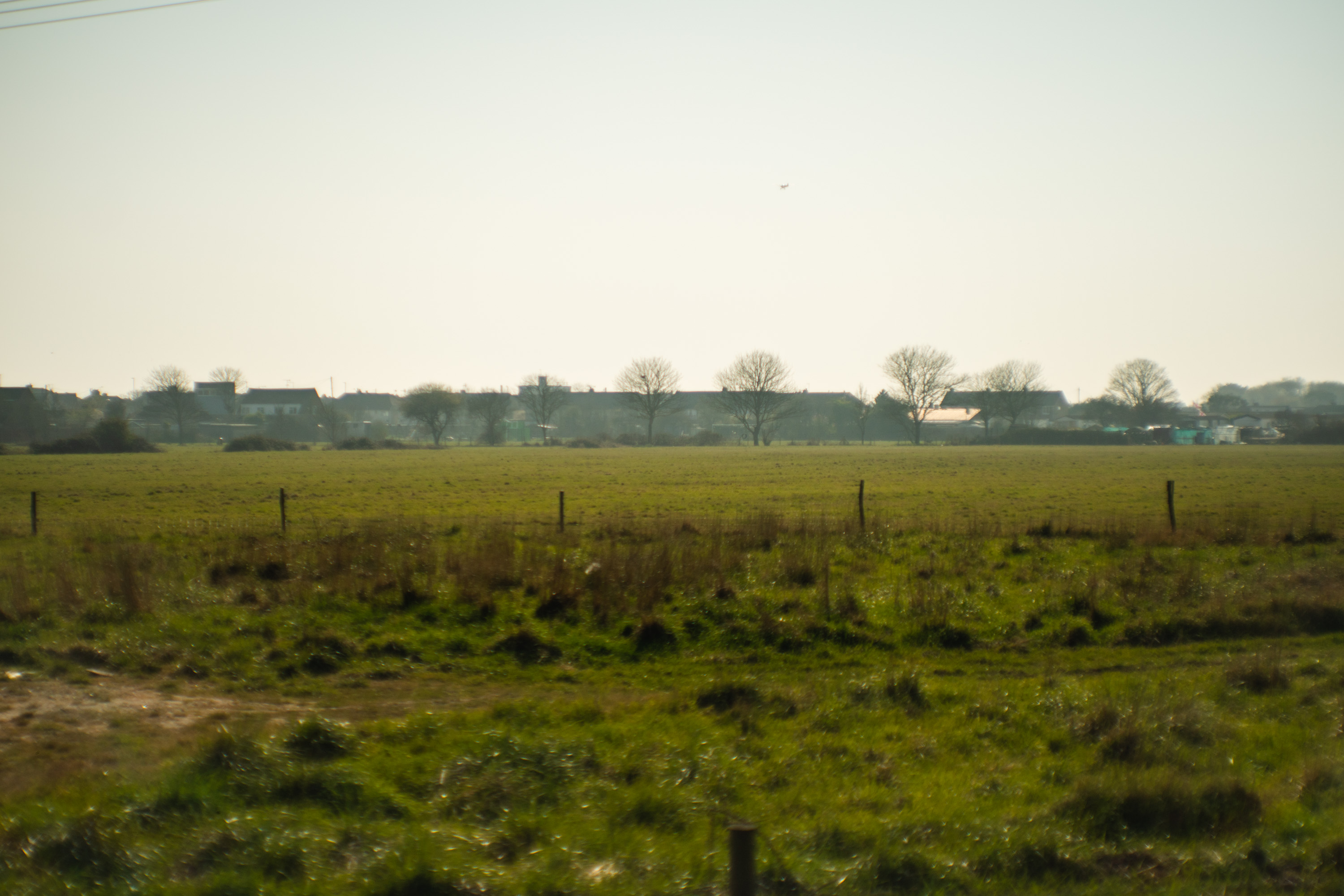 Una foto di un campo che mostra gli effetti dell’eliminazione del flare dell’obiettivo