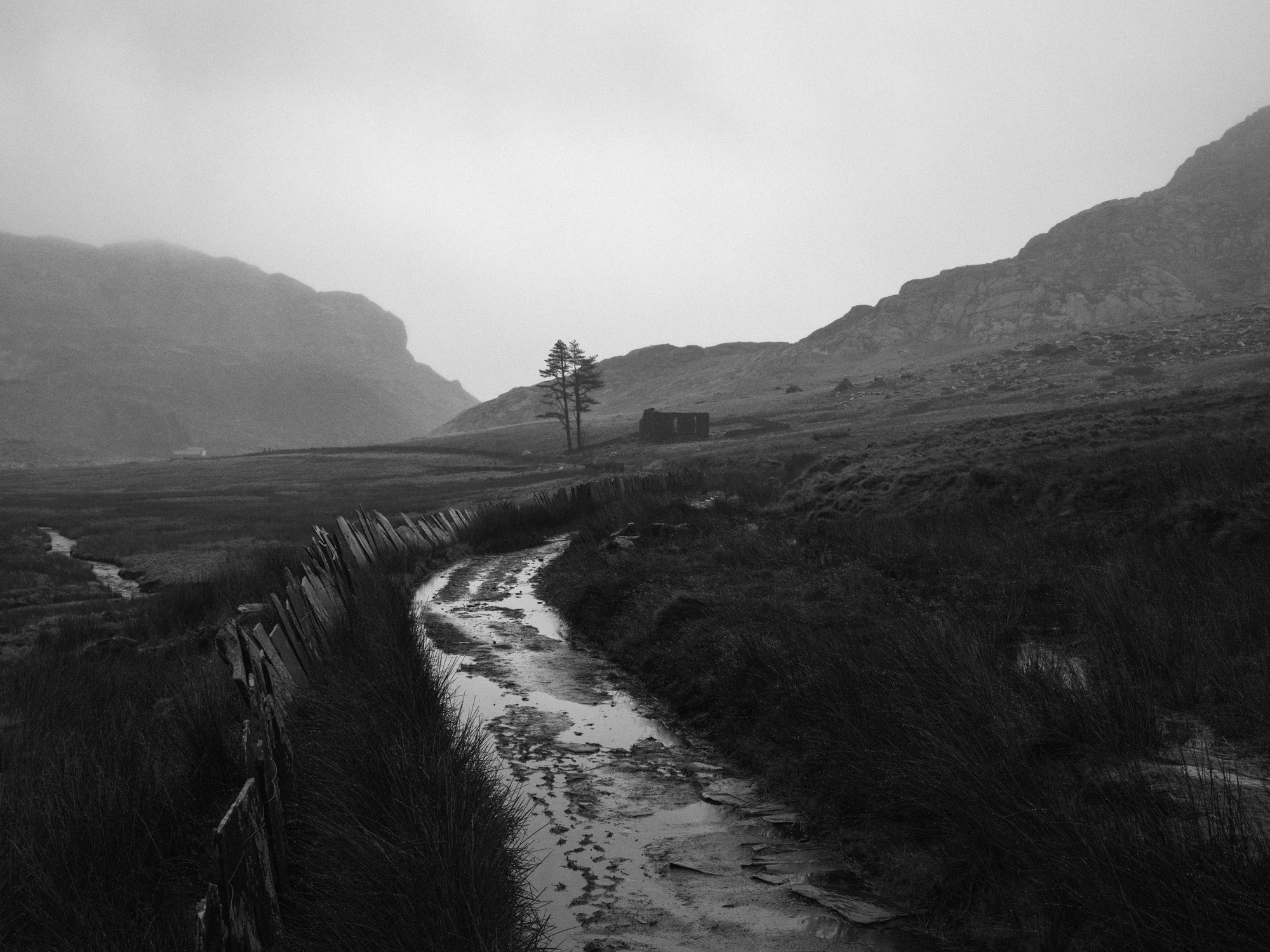  A black and white image of a path with water on it, running downhill. In the background is a tree, and two mountains.