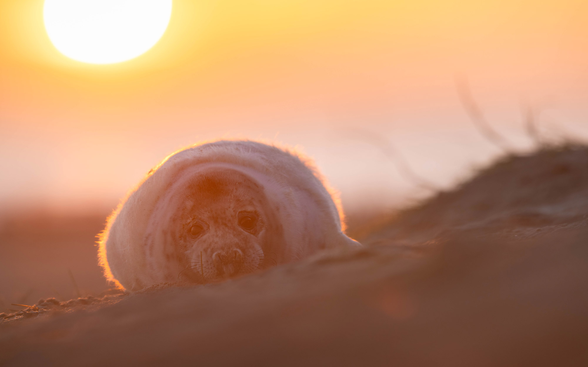 Dani Connor hold a camera on a beach