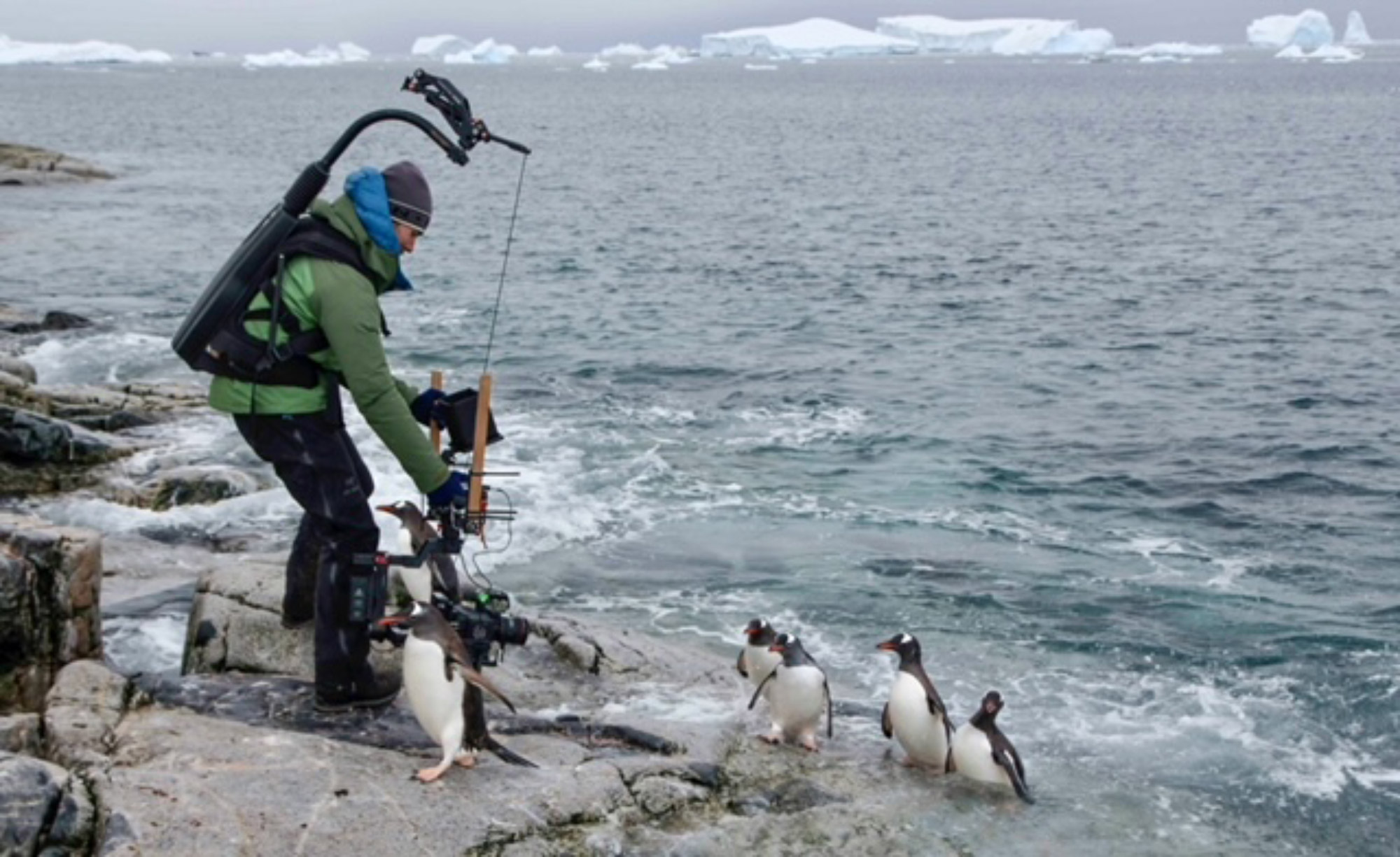 Alex Vail steht auf einem Felsen am Rande des Meeres und hält eine Kamera in der Hand, um ihn herum sind Pinguine