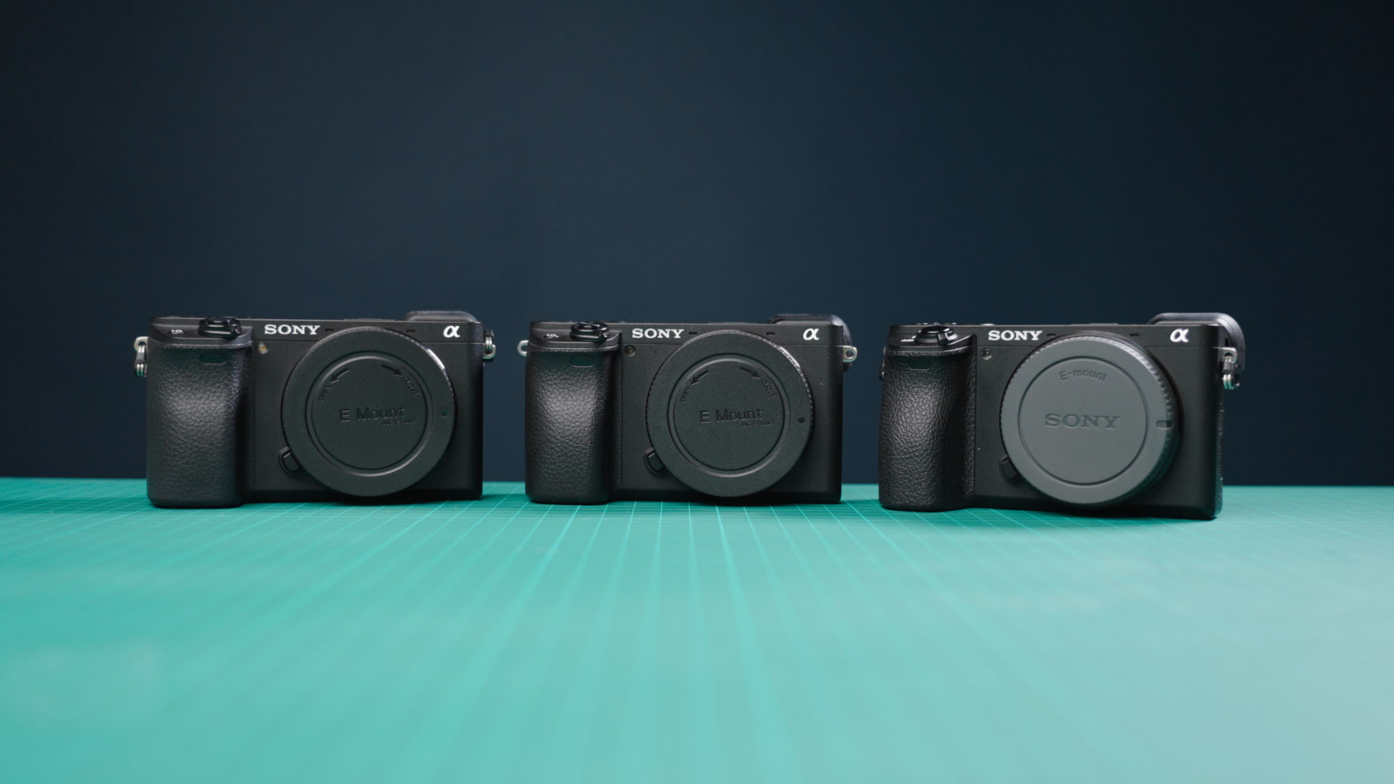 Die Sony a6000-Serie