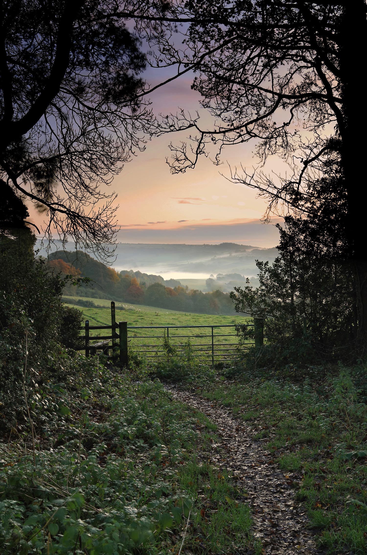 A pathway leading to a metal gate, with trees and grass either side and hills in the background.