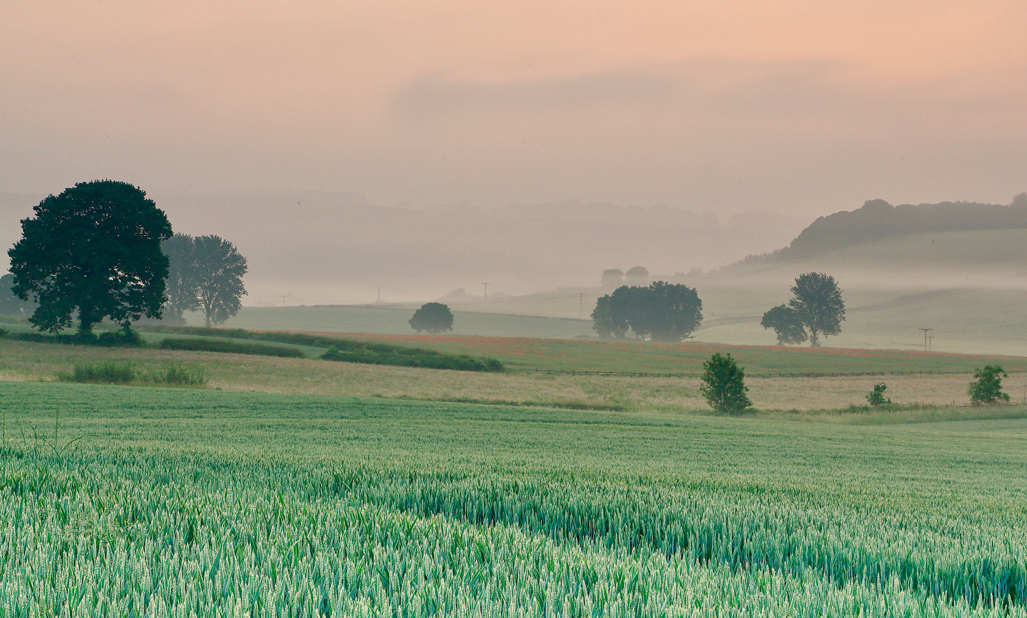 Fields and hills with trees and crops on under a misty sunrise.