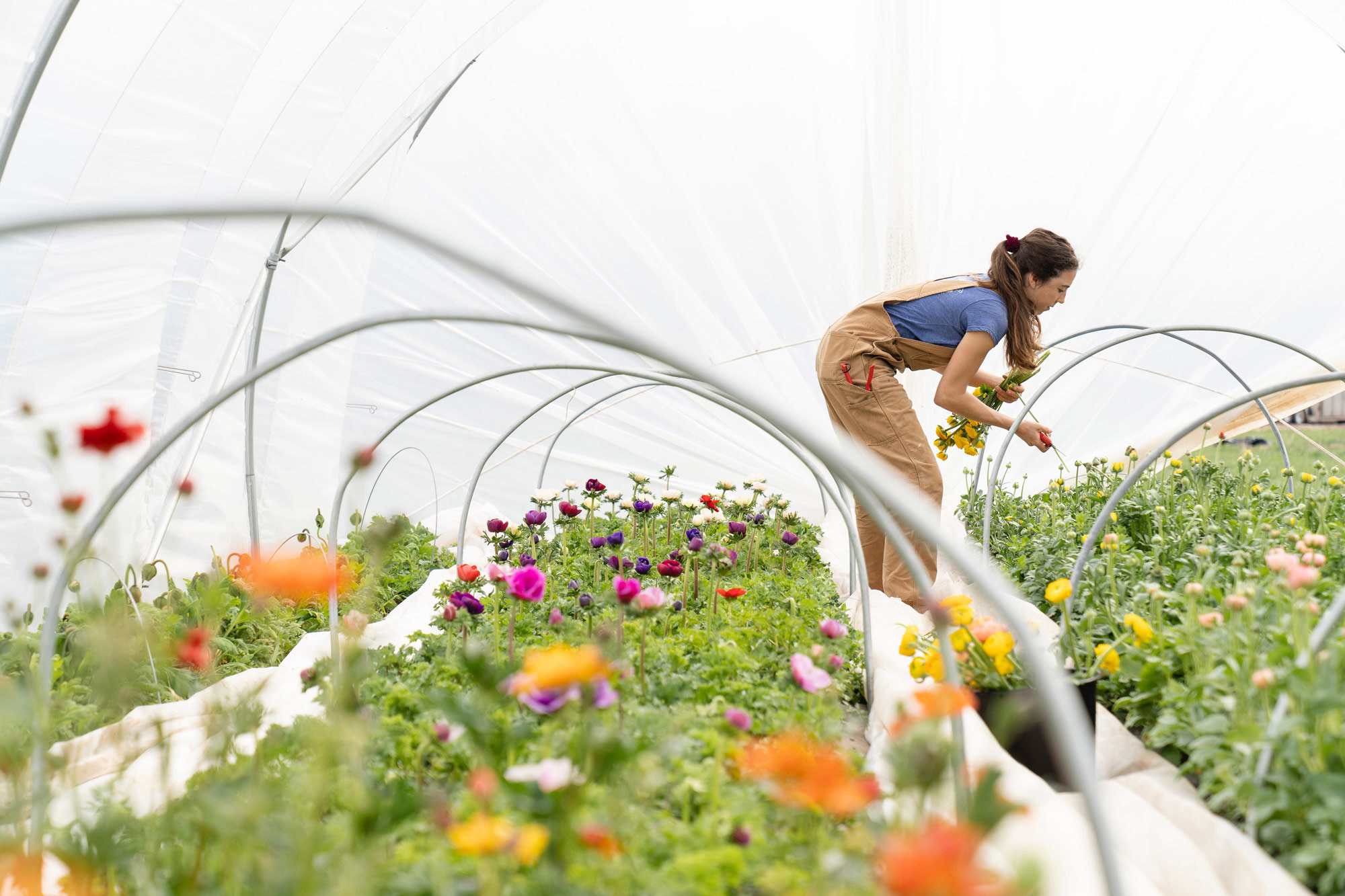 A person in a flower conservatory.