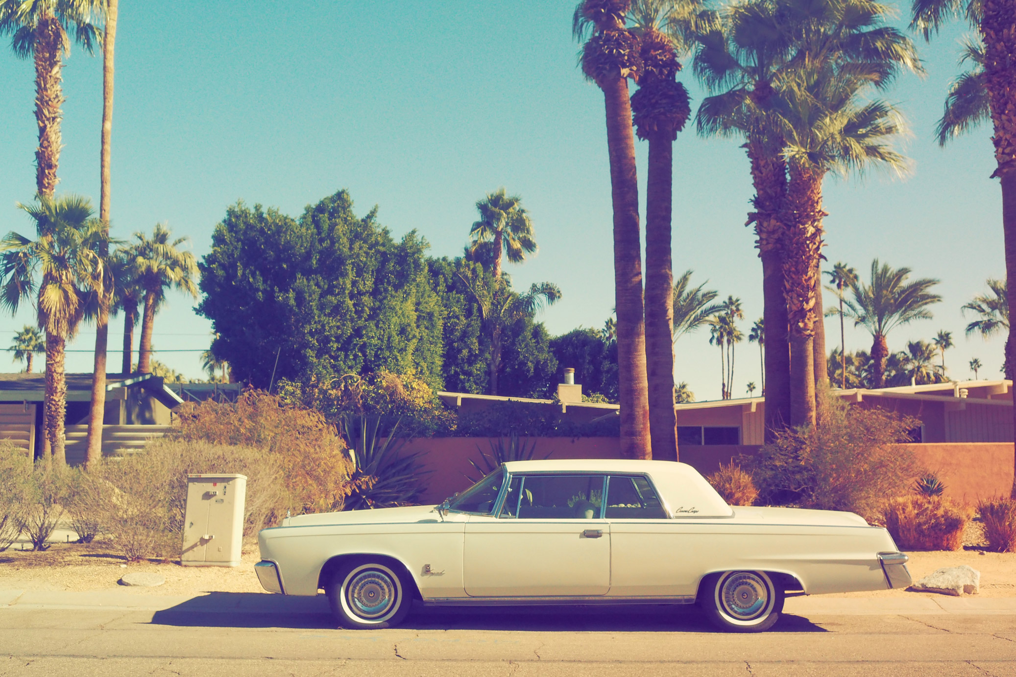 Retro tan car with palm trees behind it in Palm Springs, California taken on an Olympus Pen-F camera.