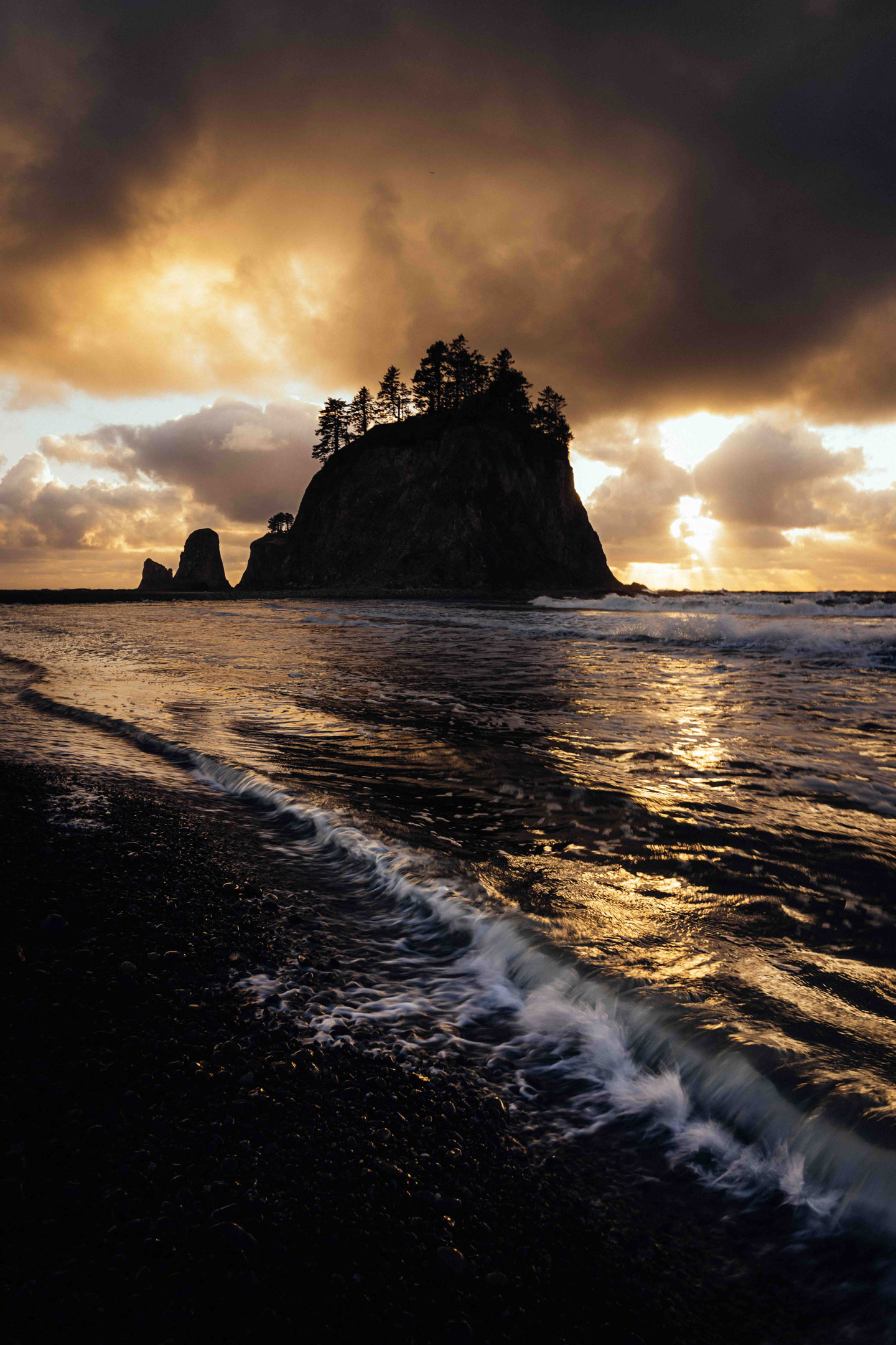 Beach at sunset in Olympic National Park in Washington State