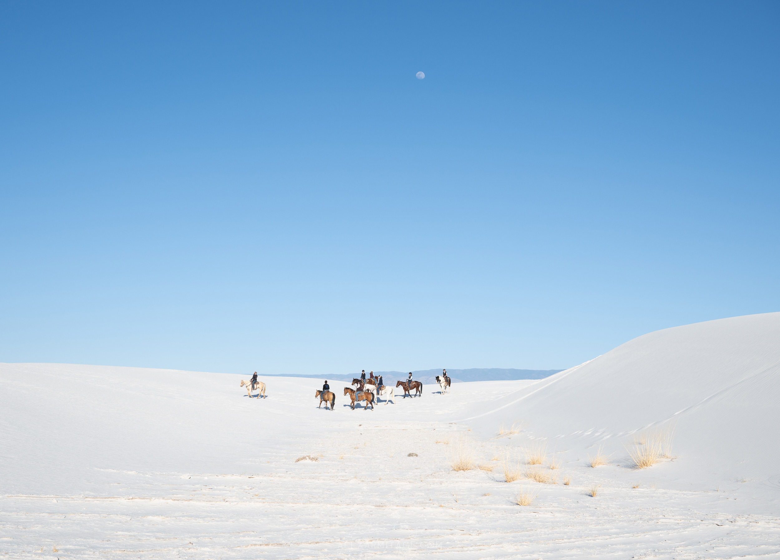 Photo of people on horses amongst the sand dunes in White Sands National Park in New Mexico, USA, taken by Alex Armitage on a Nikon Z8.