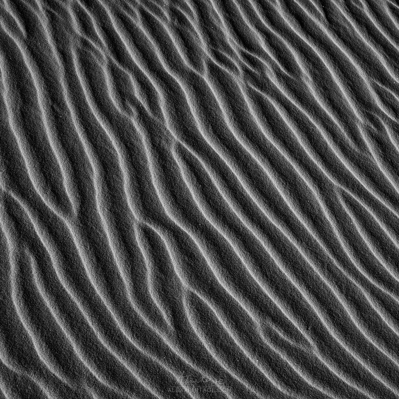 Black and white image of lines in the sand dunes at White Sands National Park in New Mexico, USA, taken by Alex Armitage.