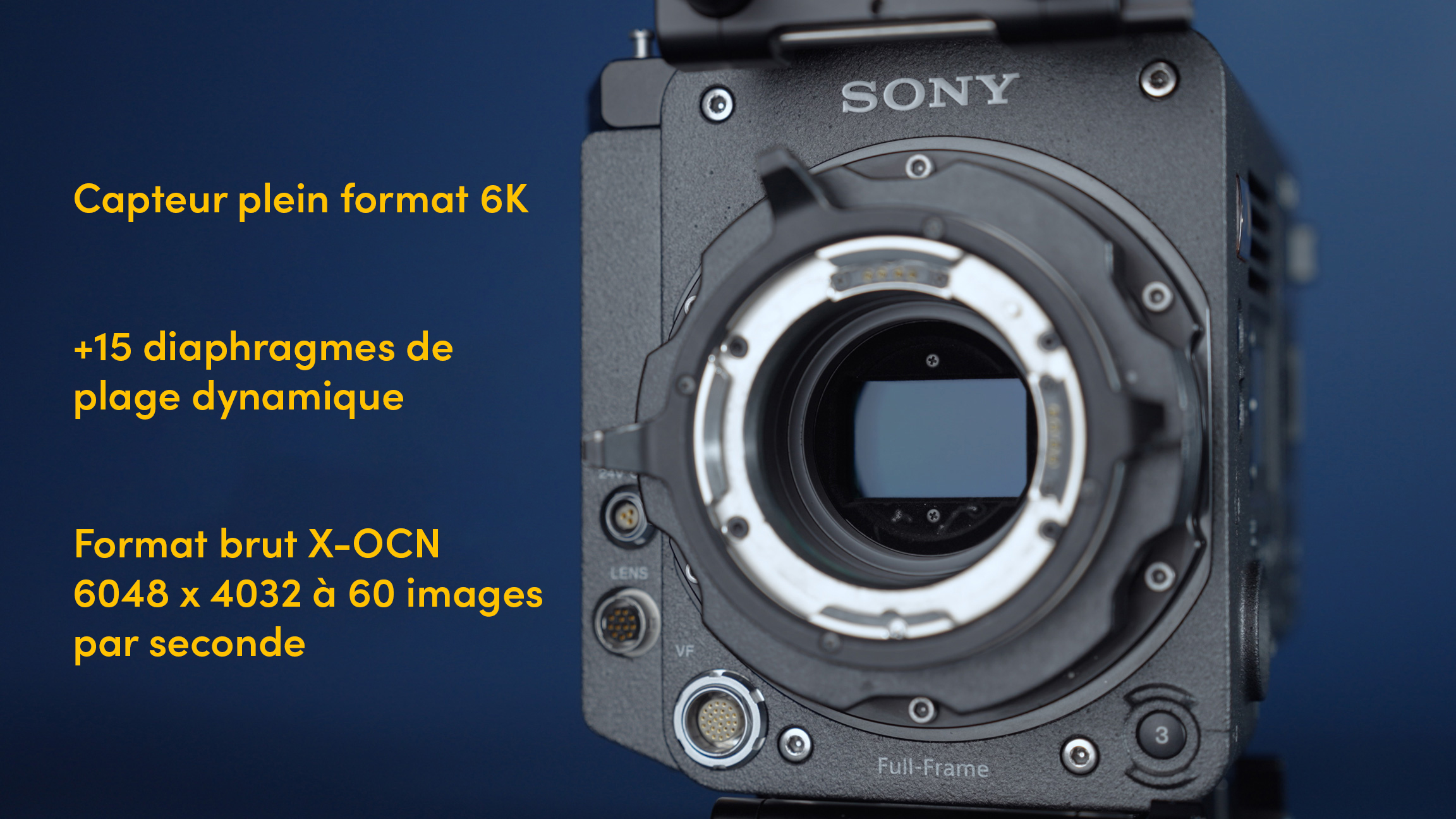 Graphique du capteur et de la résolution d’un Sony Venice