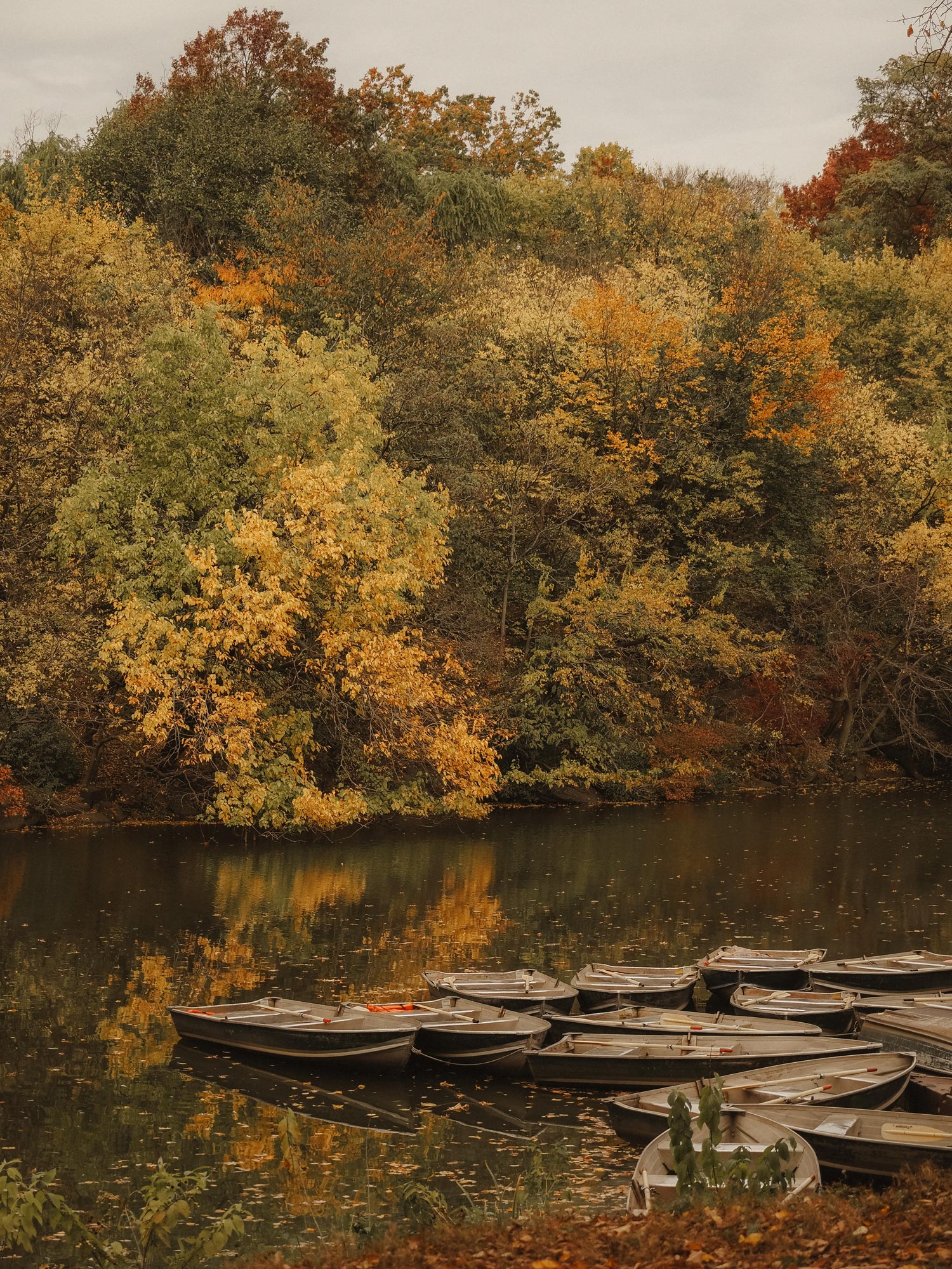 Boats on a lake in Central Park, there are trees in the background. Shot on an Olympus E-M5 III by Georgina Lamrock