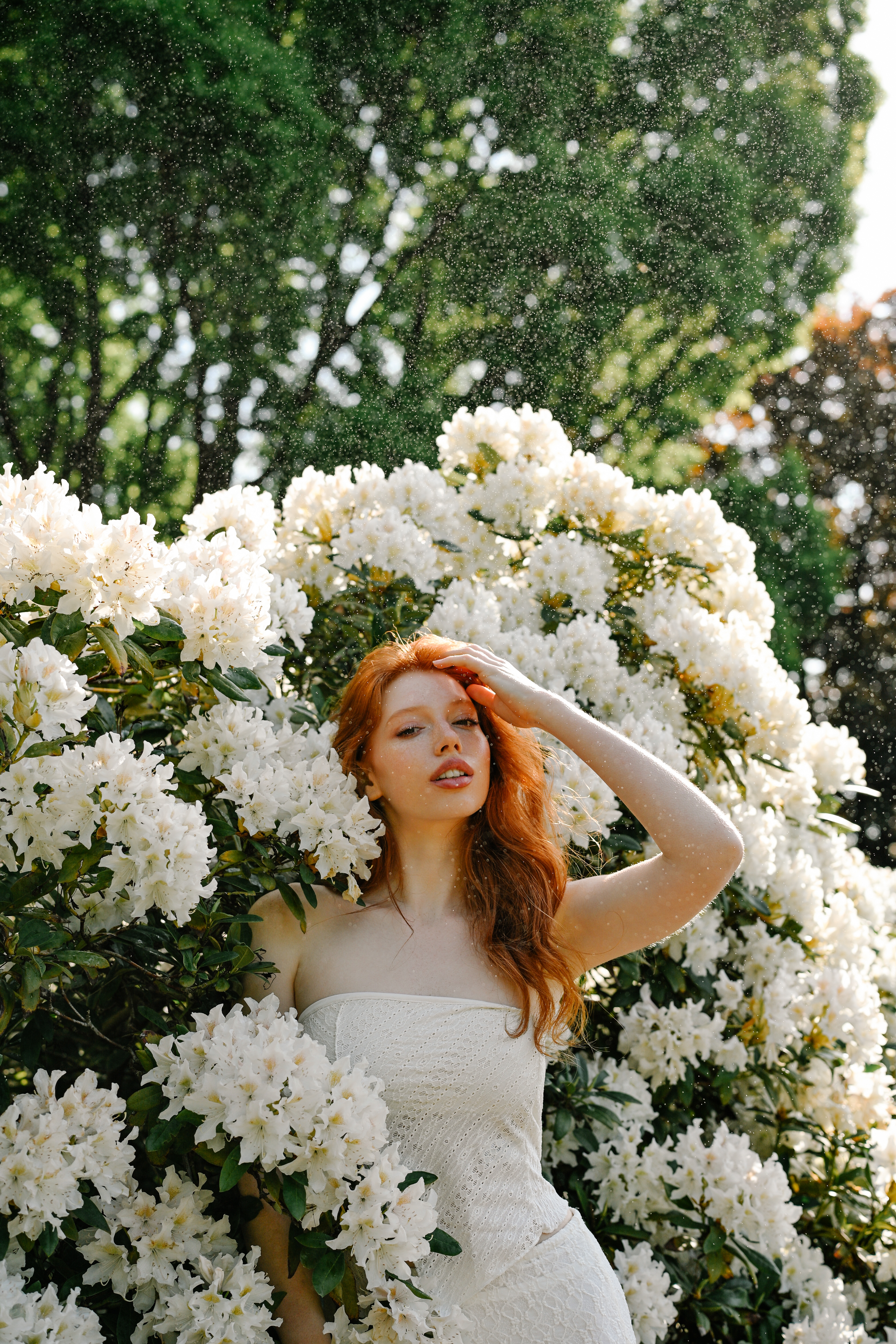 A dreamy outdoor portrait of a red-haired model in a white dress, posing gracefully among blooming white bushes in the soft morning light. Shot by Alina Rudya on a Nikon Z6 III.