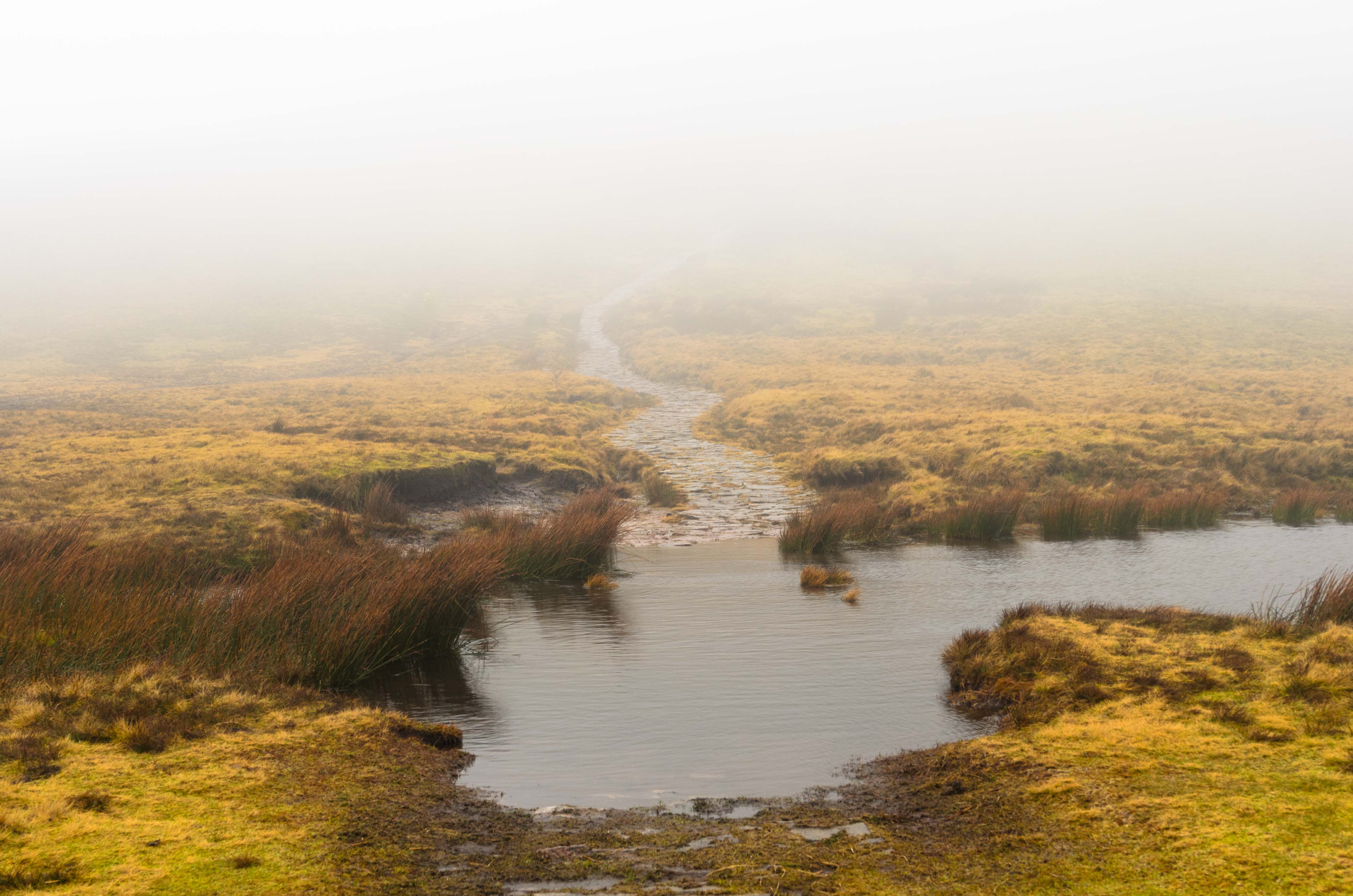 
Ein Pfad führt aus einem kleinen Wasserbecken in den dichten Nebel der Brecon Beacons. Von Connor Redmond. 

