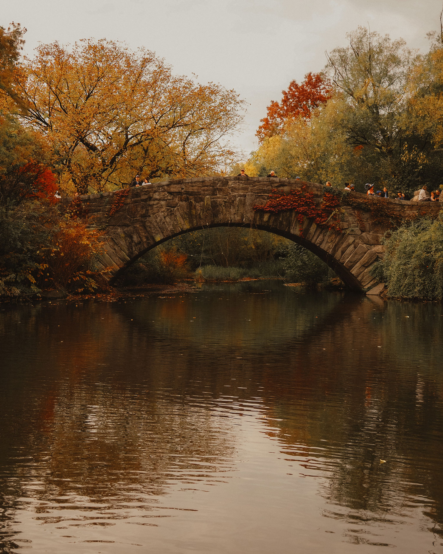 People standing and walking across a bridge over a lake in Central Park, there are trees in the background, shot on Olympus E-M5 III by Georgina Lamrock
