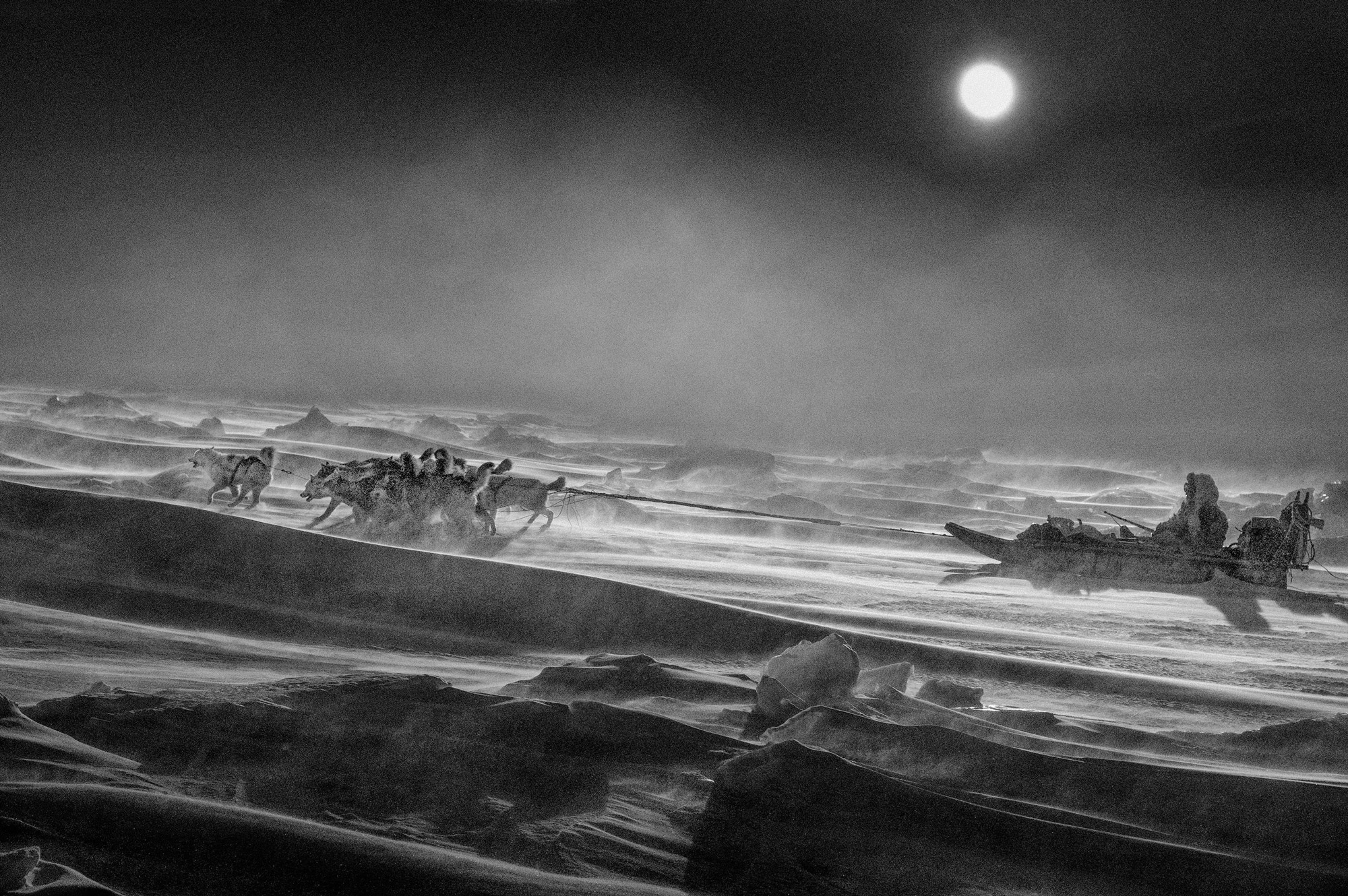 Schwarz-Weiß-Aufnahme von vielen Schlittenhunden, die einen Schlitten ziehen, in dem eine Person sitzt, bei Vollmond, Foto aufgenommen von Ragnar Axelsson