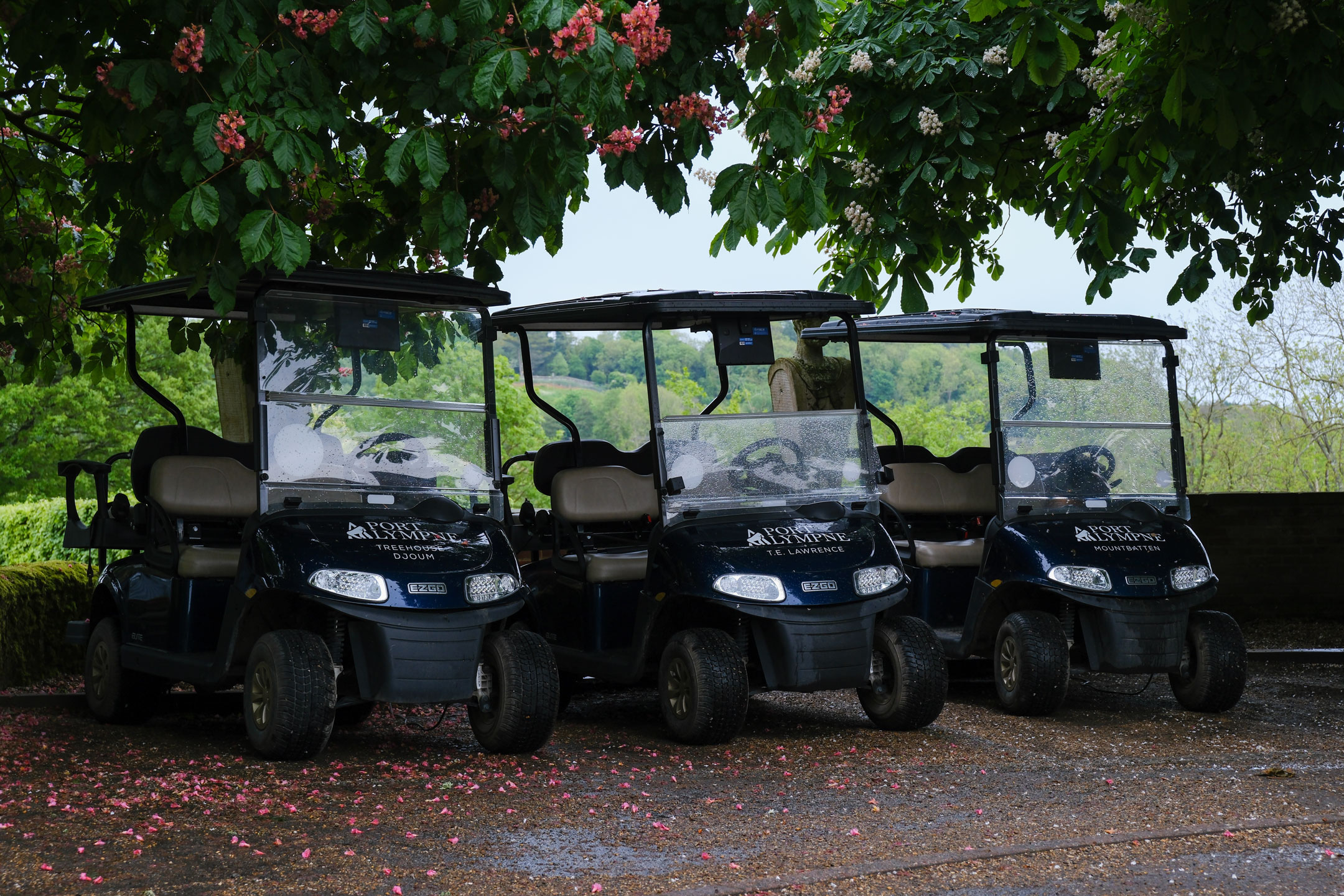 A photo of three golf buggies at Port Lympne Safari Park, by Amy Moore with a Fujifilm X-T50
