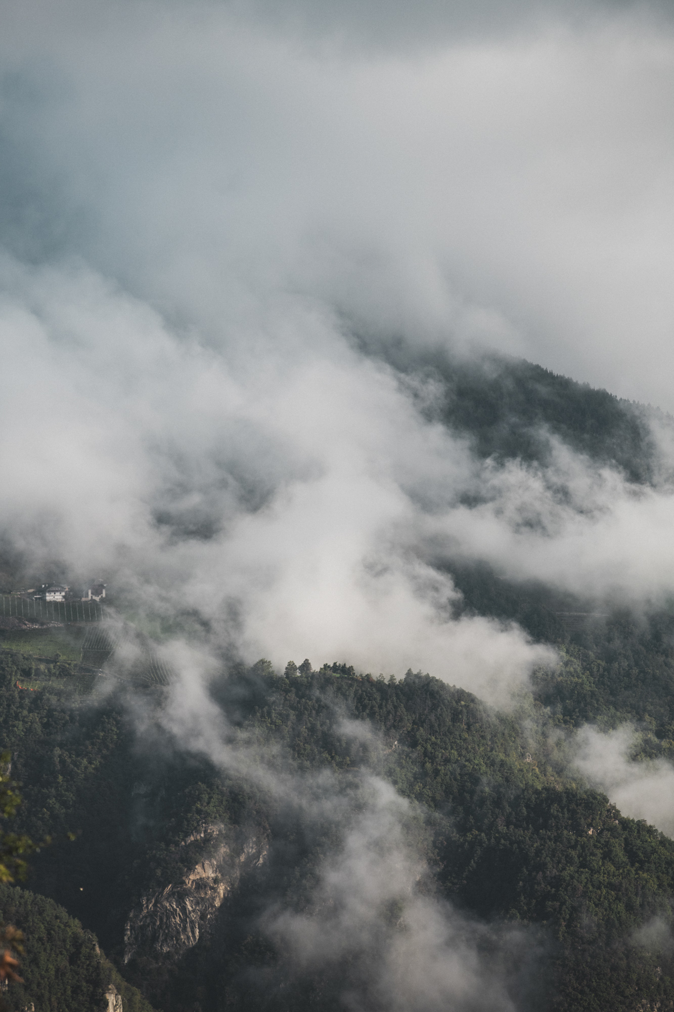 Alpenlandschaft mit nebelumhüllten Nadelwäldern und tief hängenden Wolken, die in die Täler ziehen.