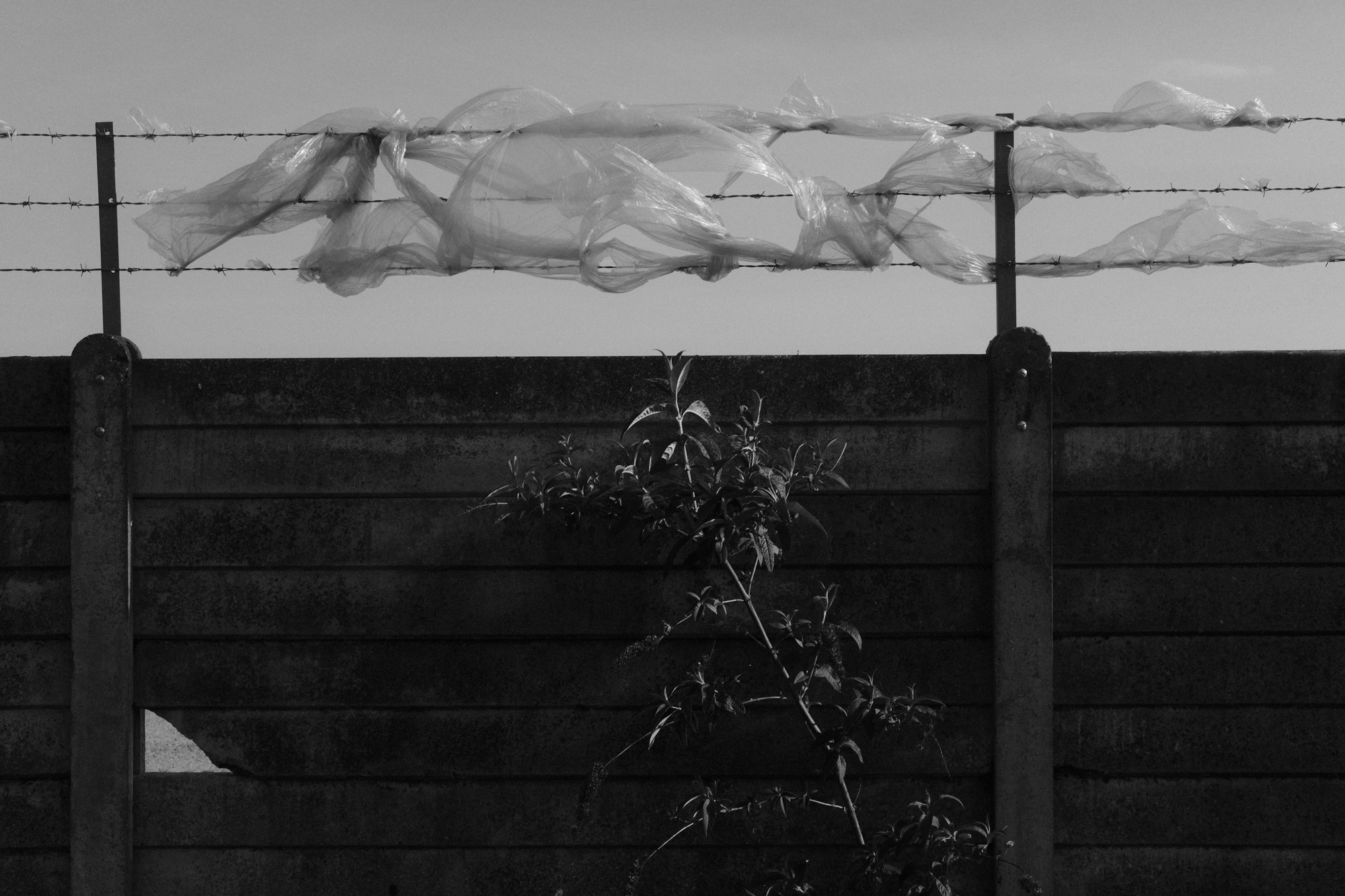 Schwarz-Weiß-Aufnahme eines mit Stacheldraht versehenen Holzzaun, in dem sich eine Plastikfolie verfängt und im Wind zu wehen scheint, aufgenommen von Ian Howorth mit der Fujifilm X-Pro3.