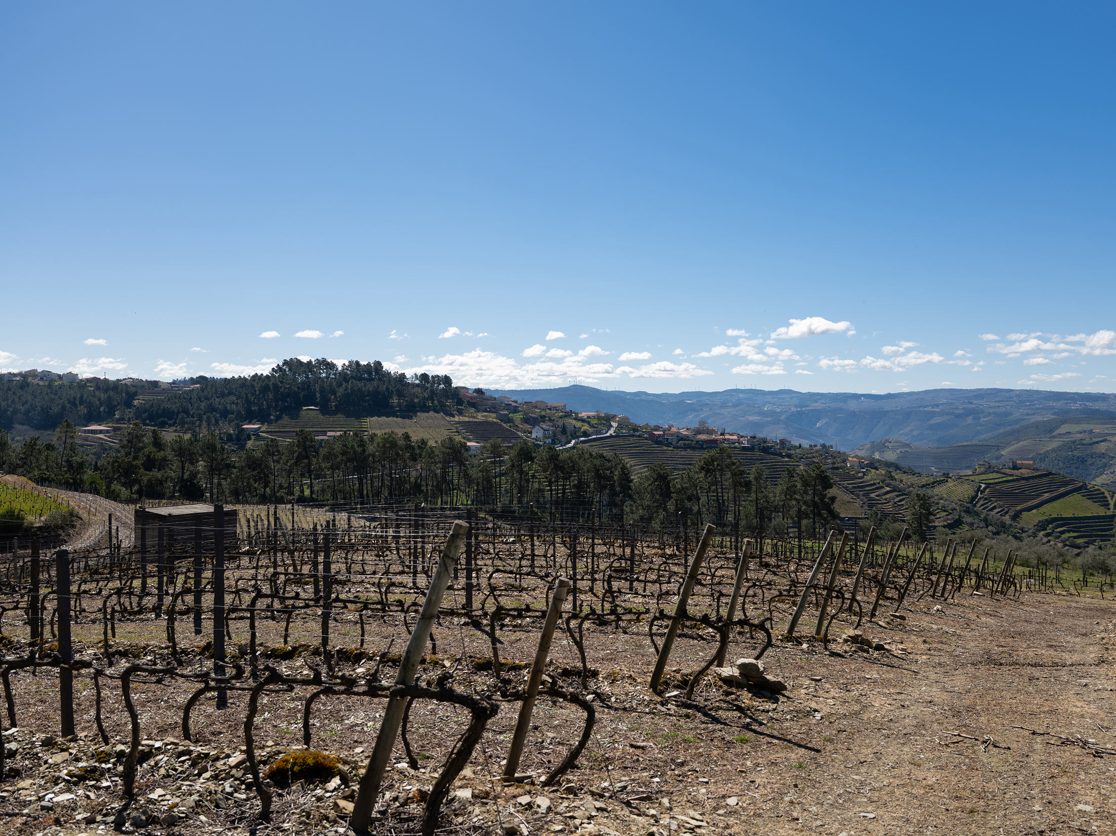 Agricultural land with countryside in the background, Porto, Portugal. Shot on the Fujifilm GFX100RF by Amy Moore.
