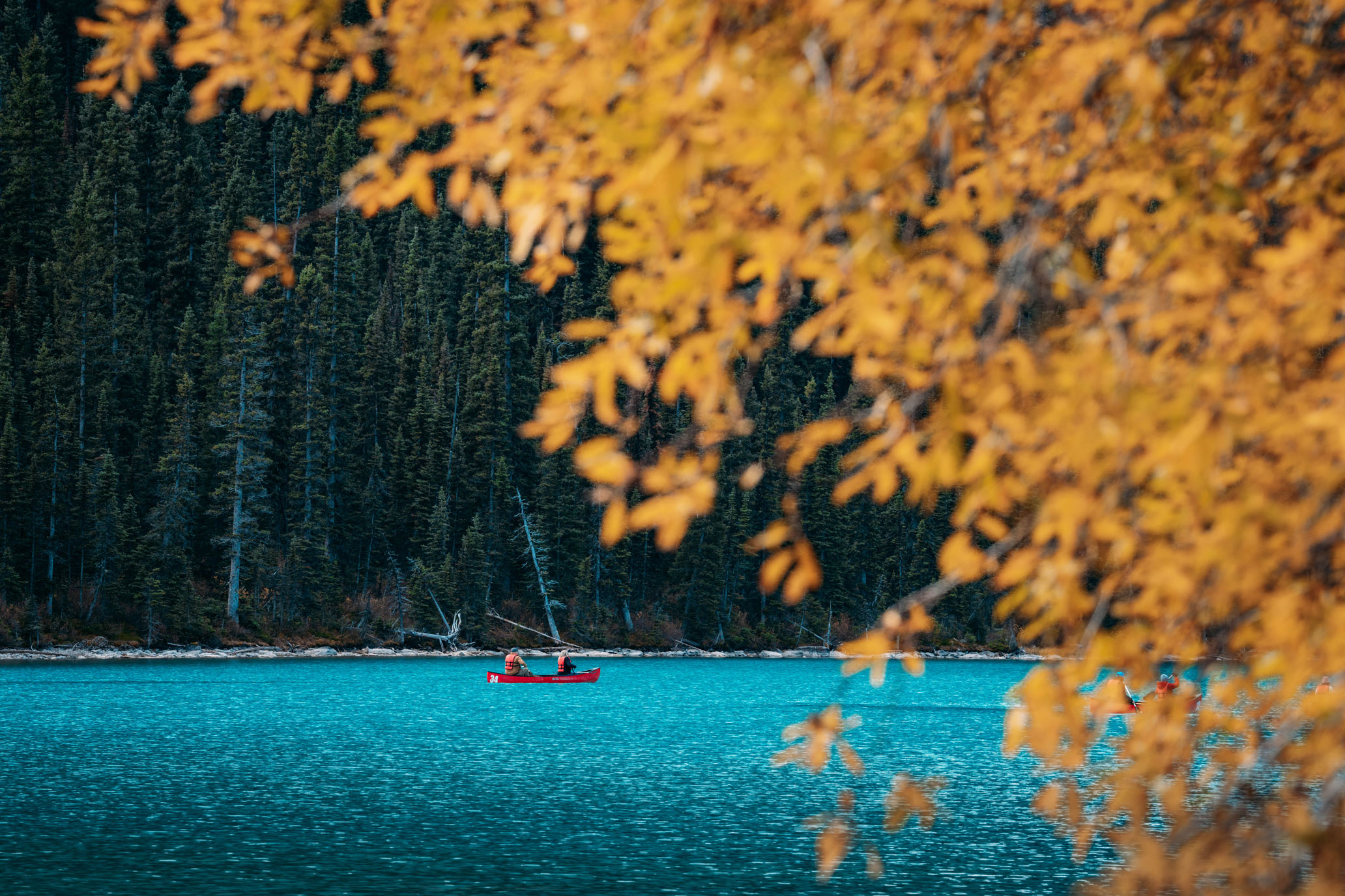 Two people in a canoe on Lake Louise in Banff National Park with fall foliage, image by Jude Allen.