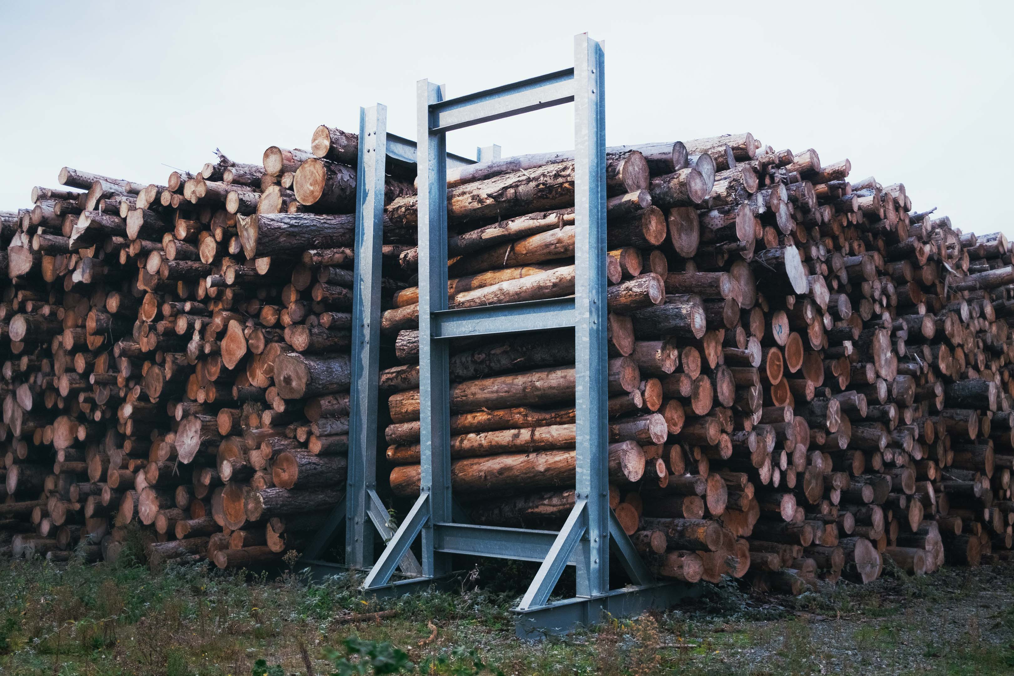 A big stack of timber logs at a timber yard. Taken on the Fujifilm X100VI by Connor Redmond.