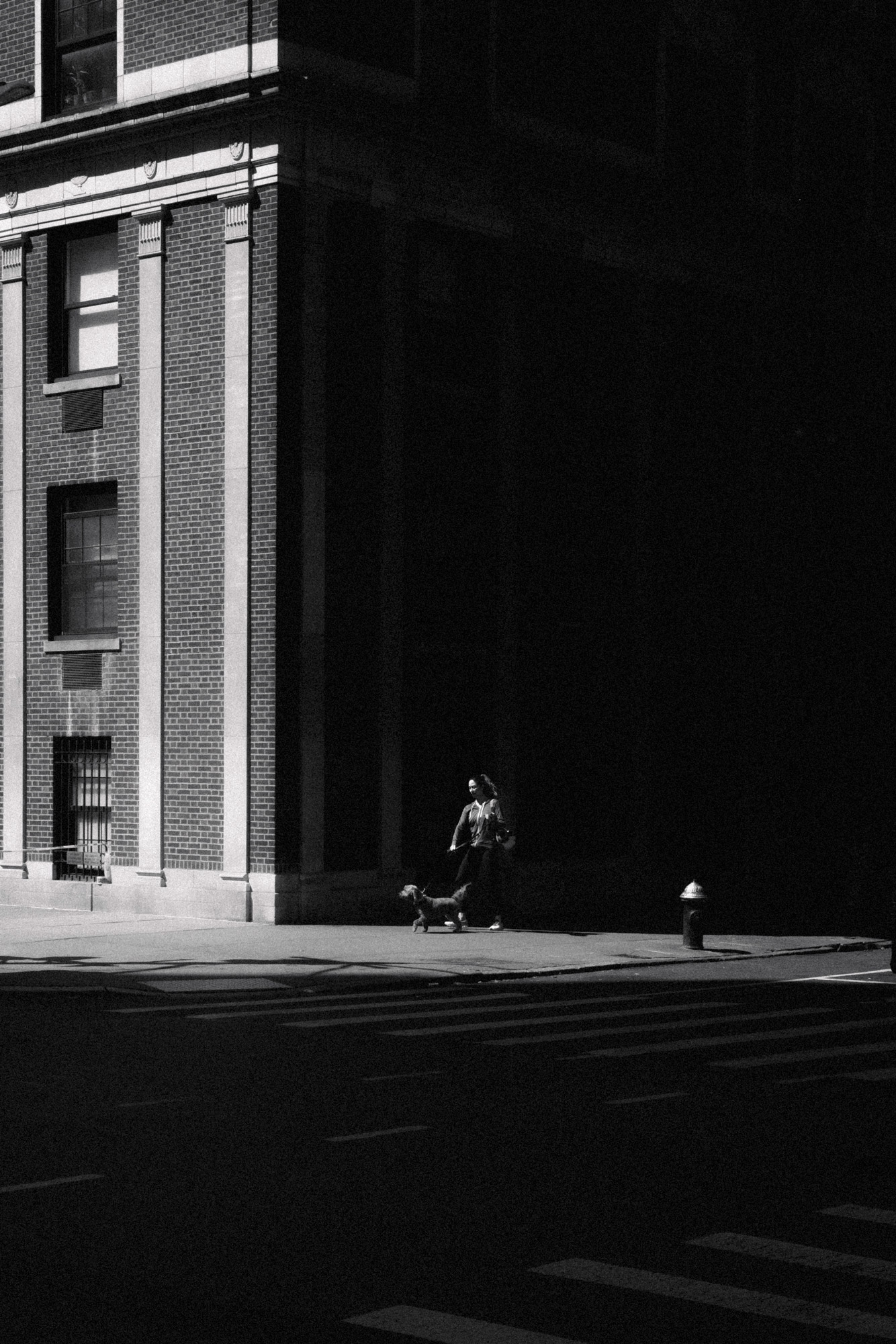 A black-and-white photo of a person walking their dog