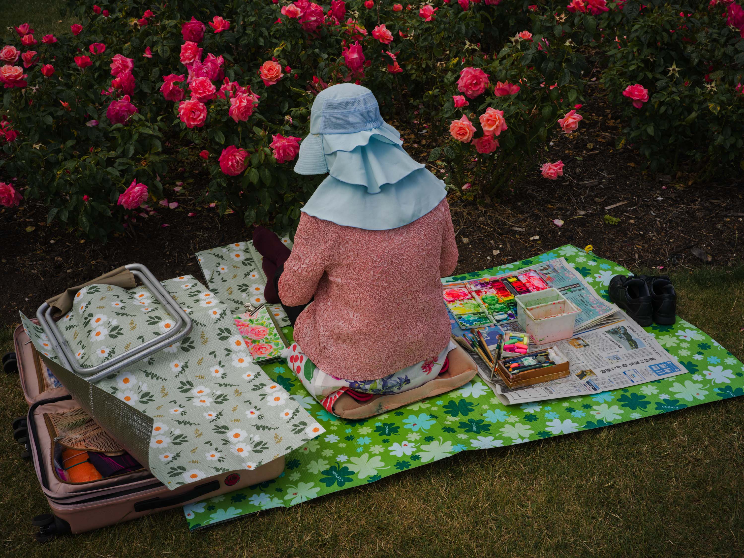 Photo d'une personne portant un haut rose et un sweat à capuche bleu clair assise par terre en train de peindre des buissons de roses, prise par Ian Howorth avec un Hasselblad X2D 100C.