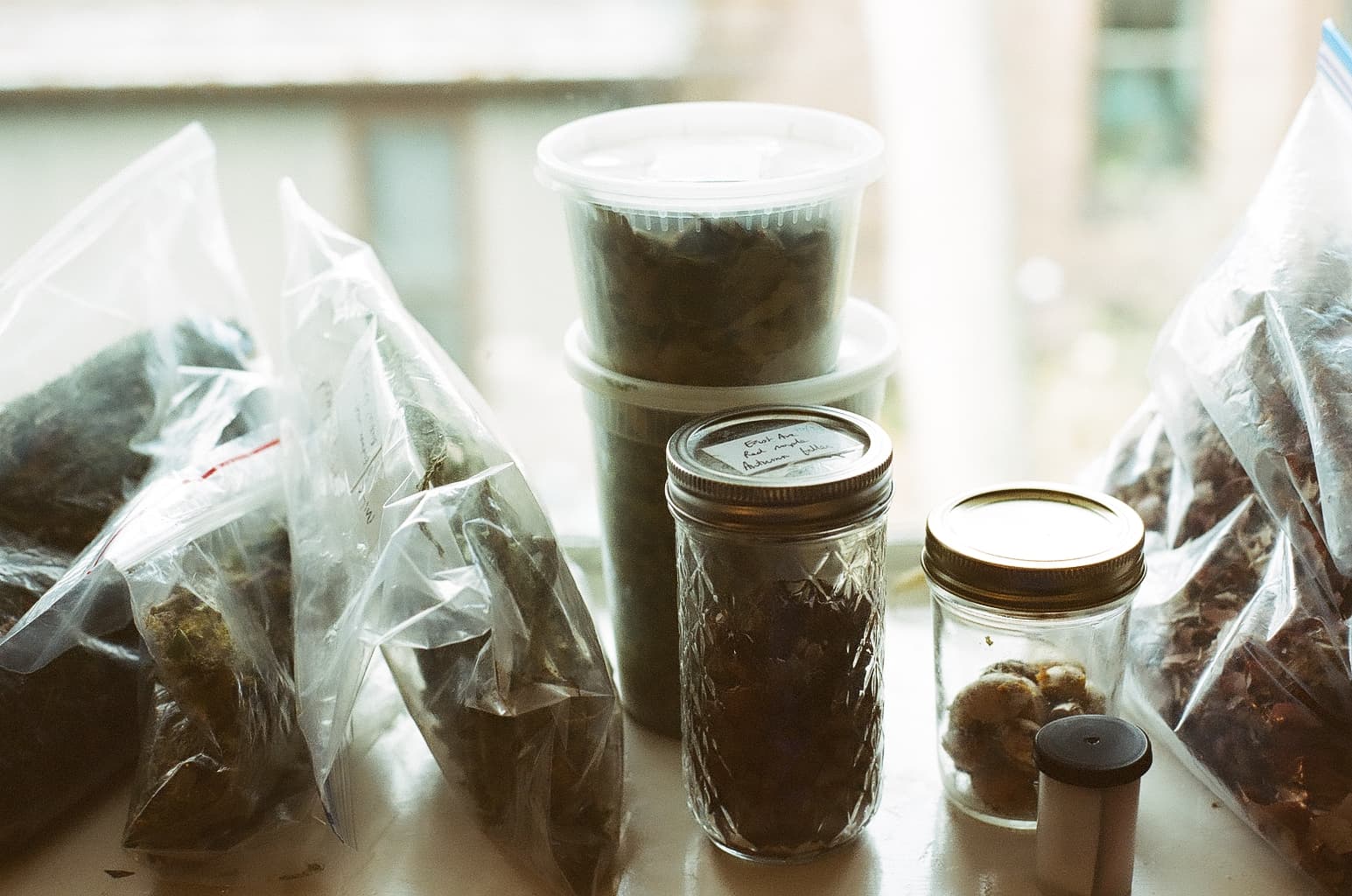 Een collectie verzamelde planten opgeslagen in potten en zakken, klaargemaakt voor gebruik in natuurlijke filmontwikkeling. Het vastleggen van het snijvlak van fotografie en duurzame chemie.