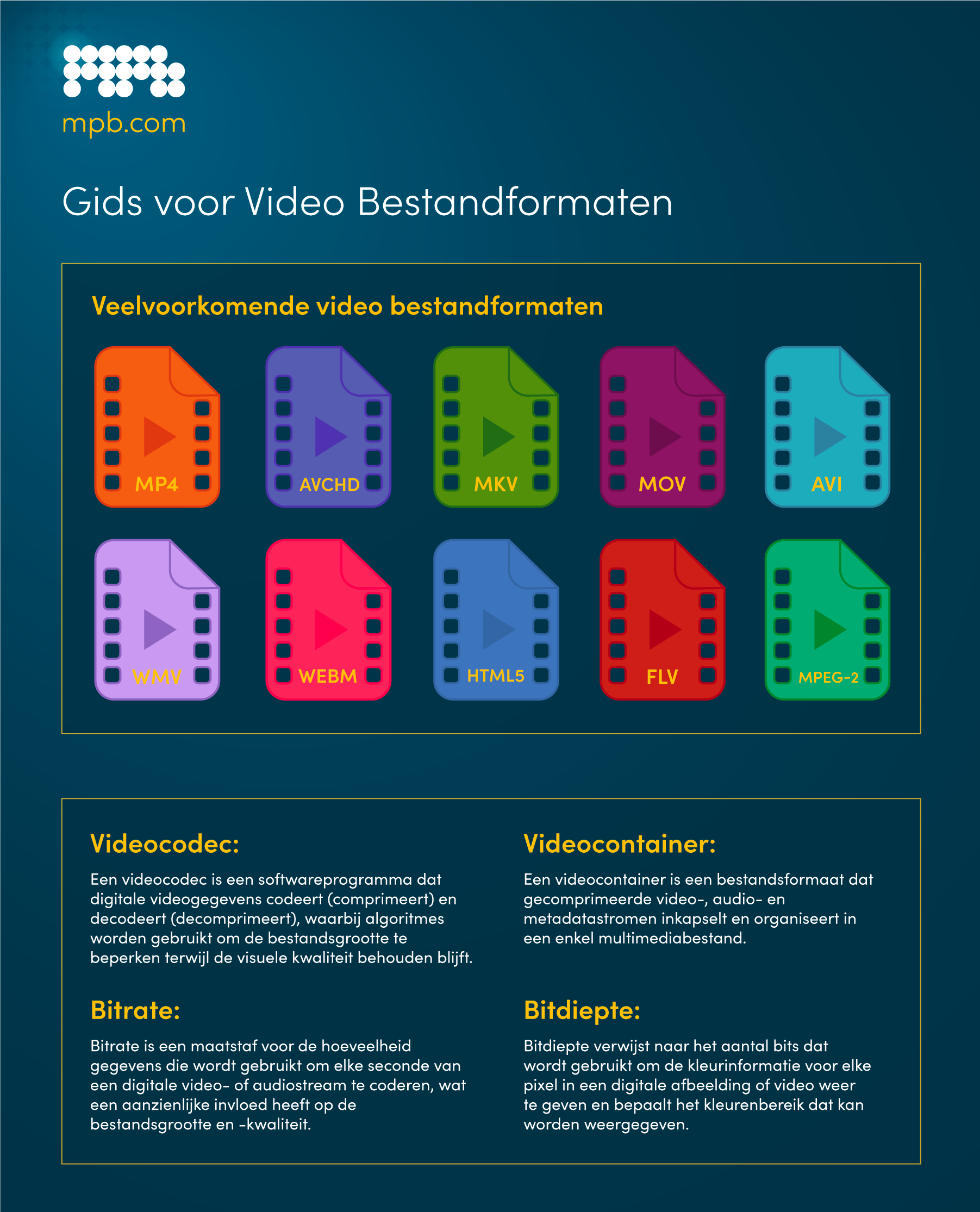 Handleiding voor videobestandsformaten infographic
